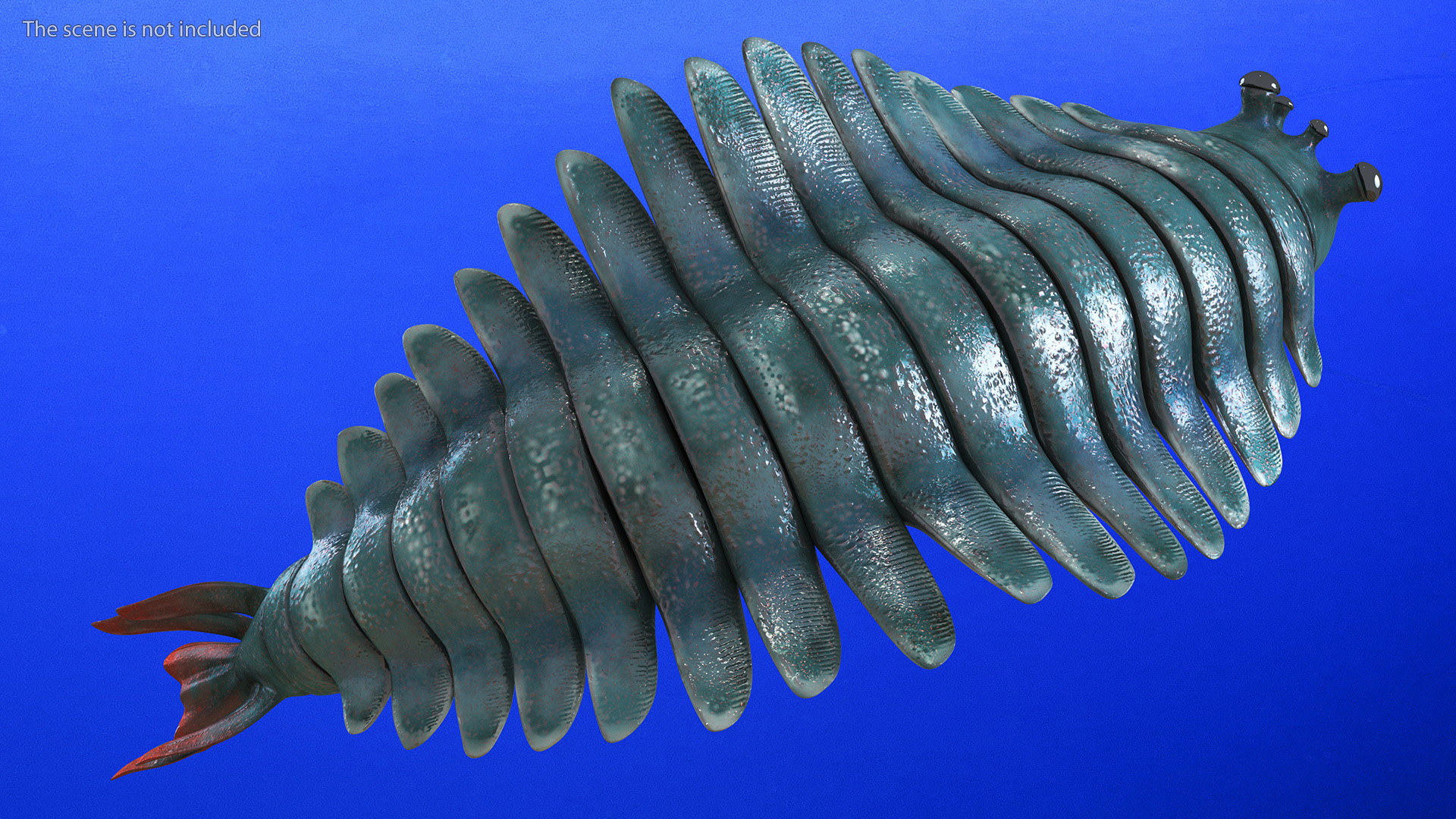 3D Green Opabinia Rigged