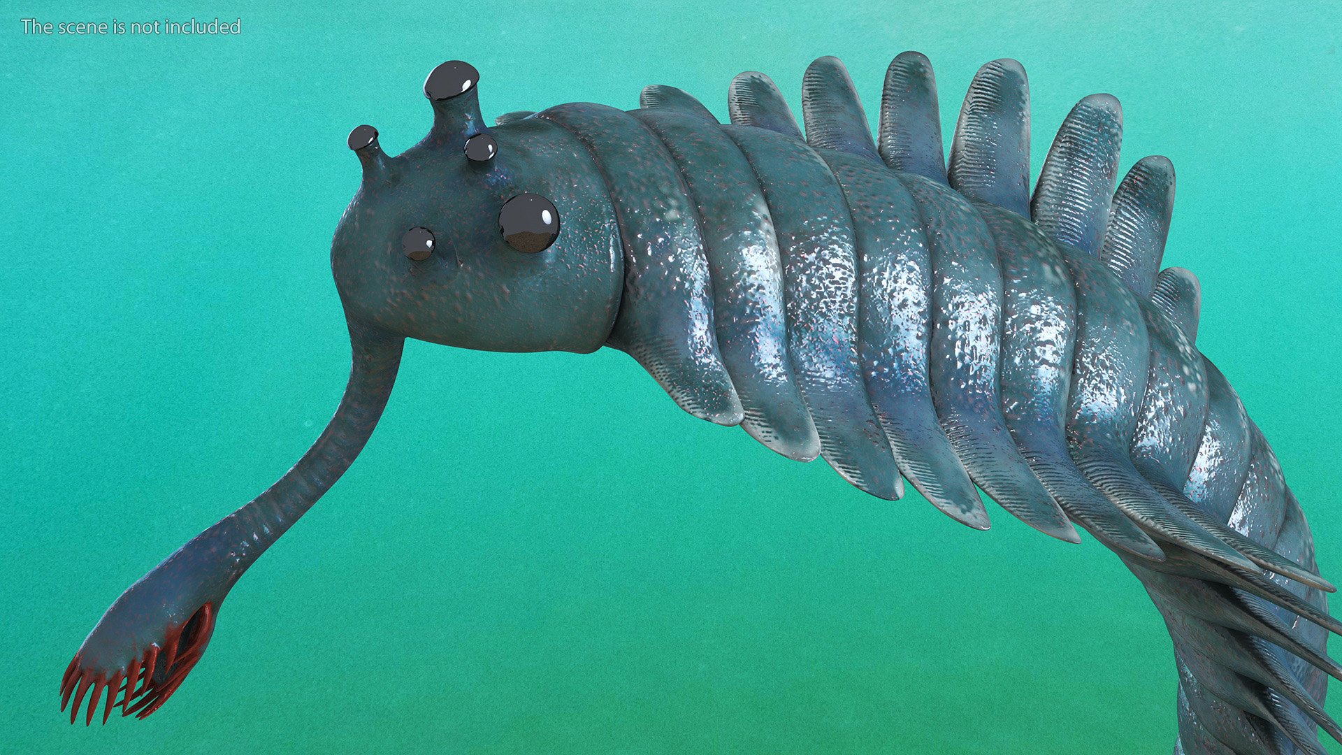 3D Green Opabinia Rigged