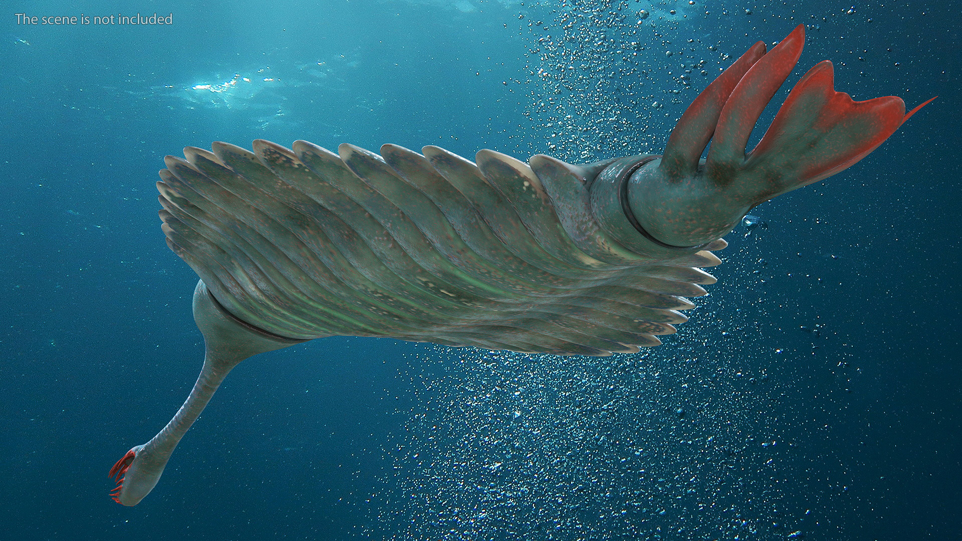 3D Green Opabinia Rigged