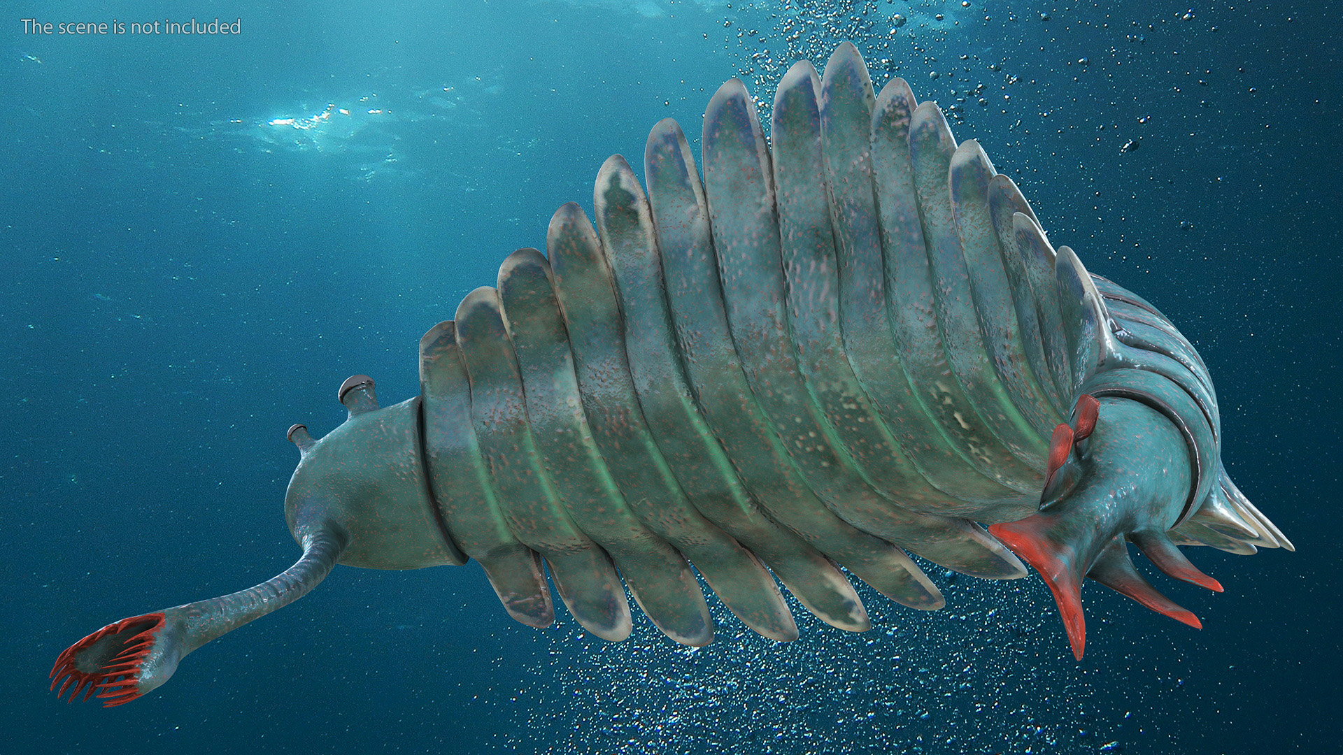 3D Green Opabinia Rigged
