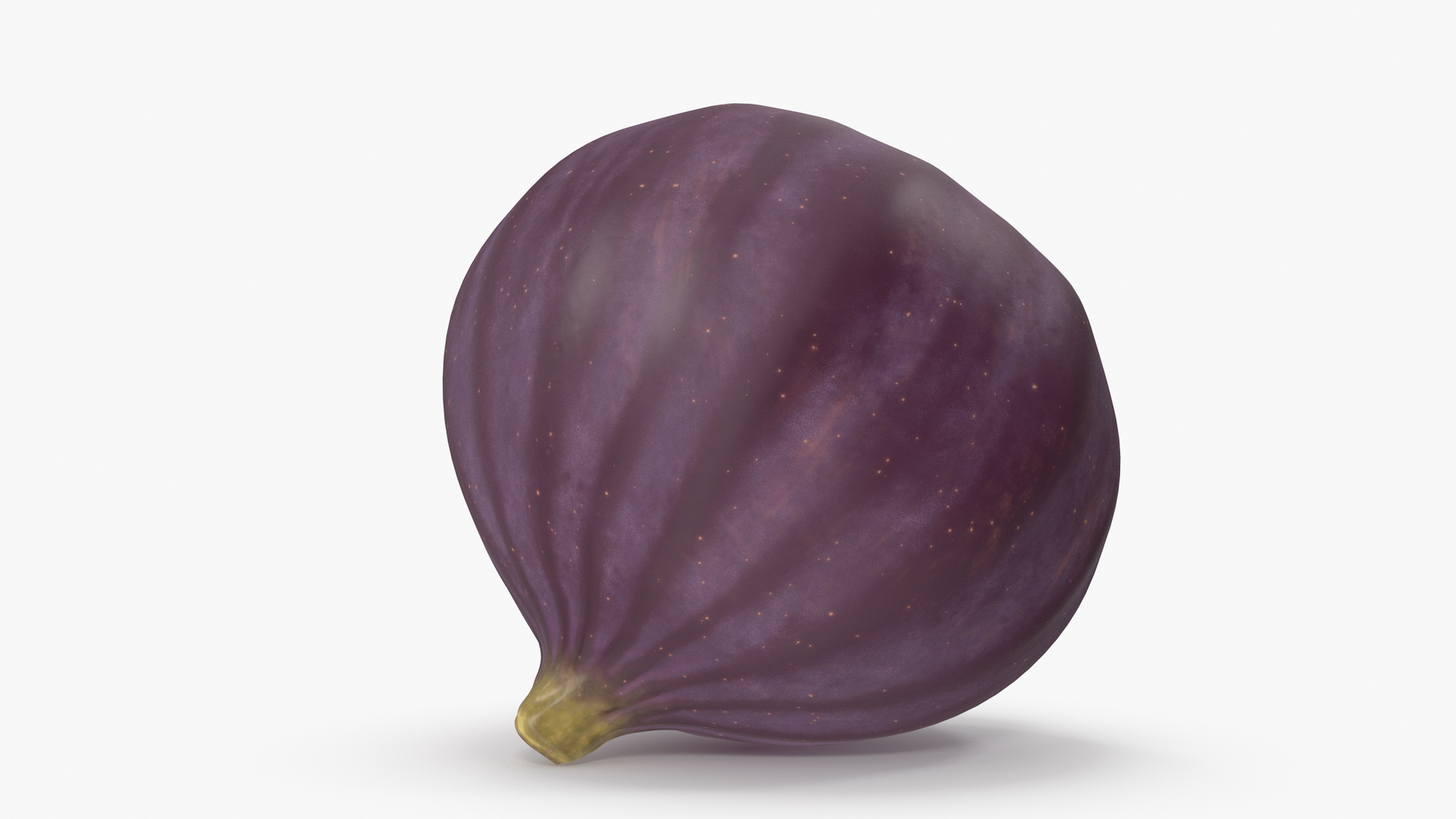 Ripe Fig Fruit 3D model