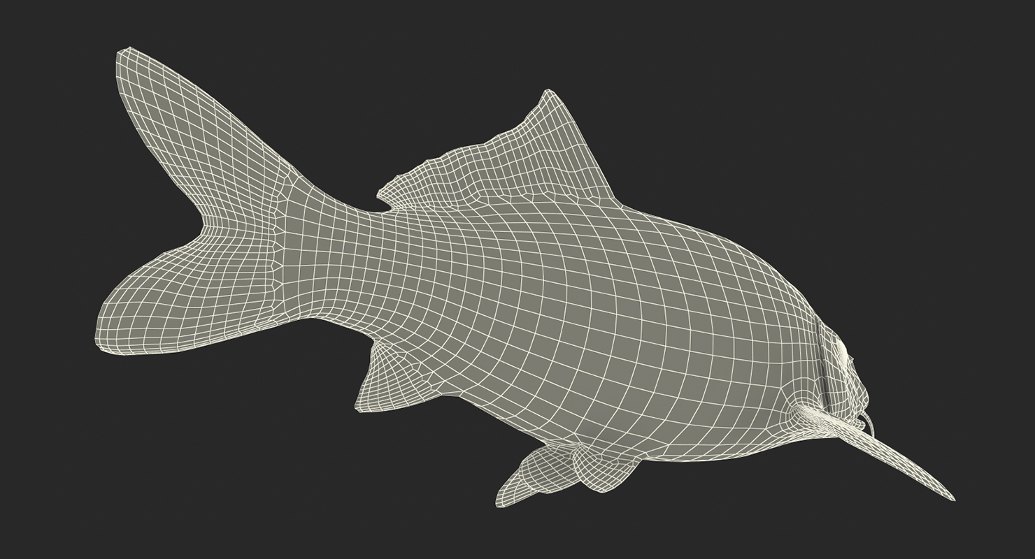3D model Koi Fish