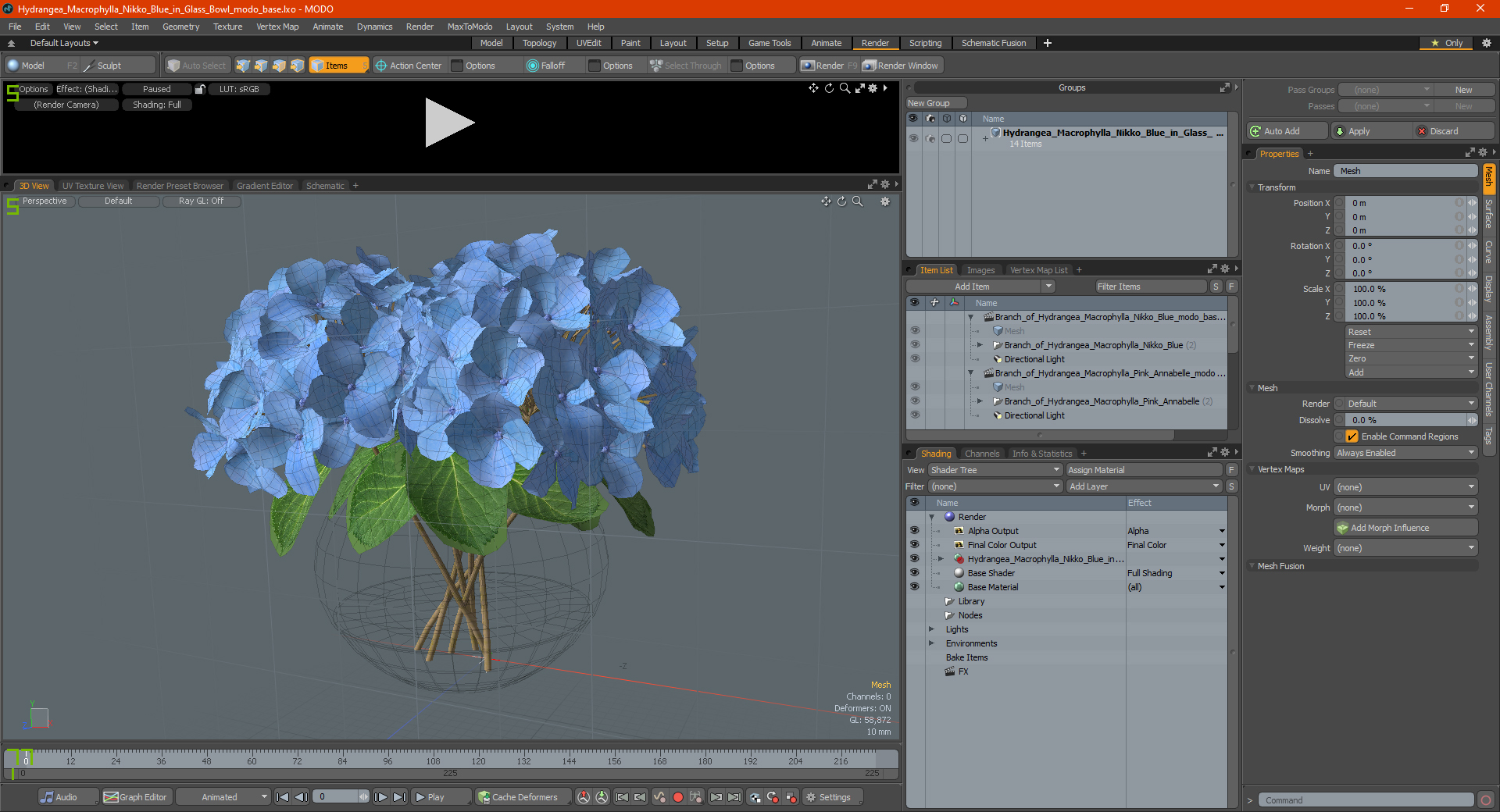 3D Hydrangea Macrophylla Nikko Blue in Glass Bowl