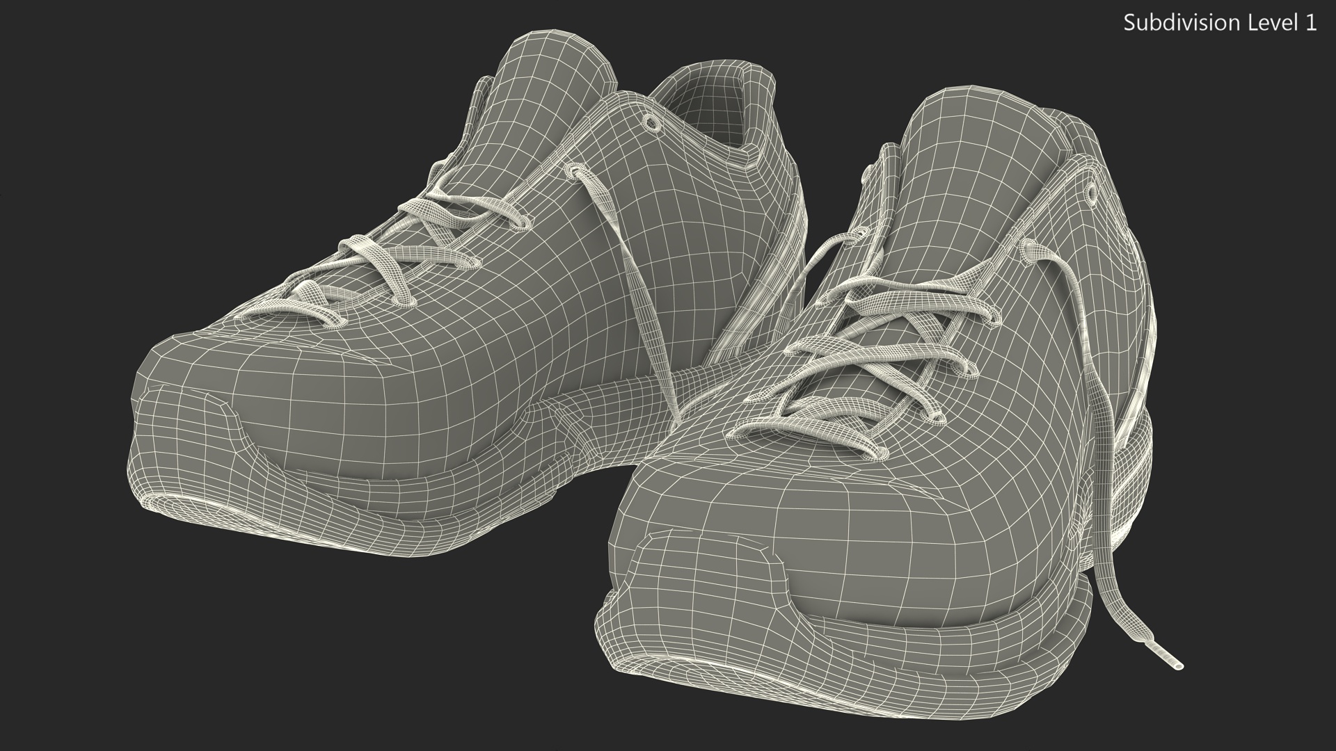 3D Nike Zoom Sneakers model
