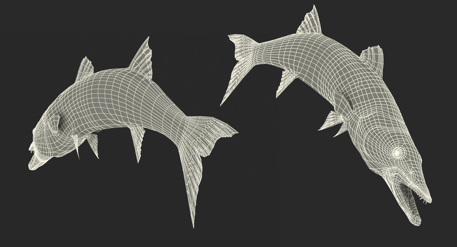 3D Barracuda Fish Pose 2