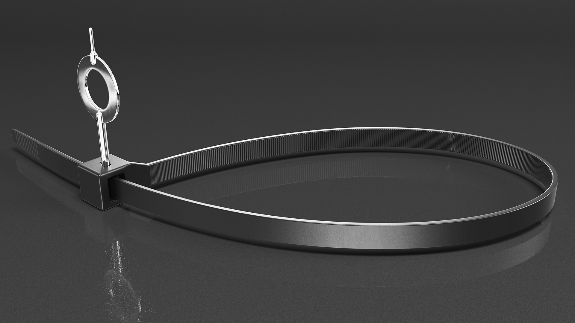3D model Lockable Plastic Restraint Cuff with Key