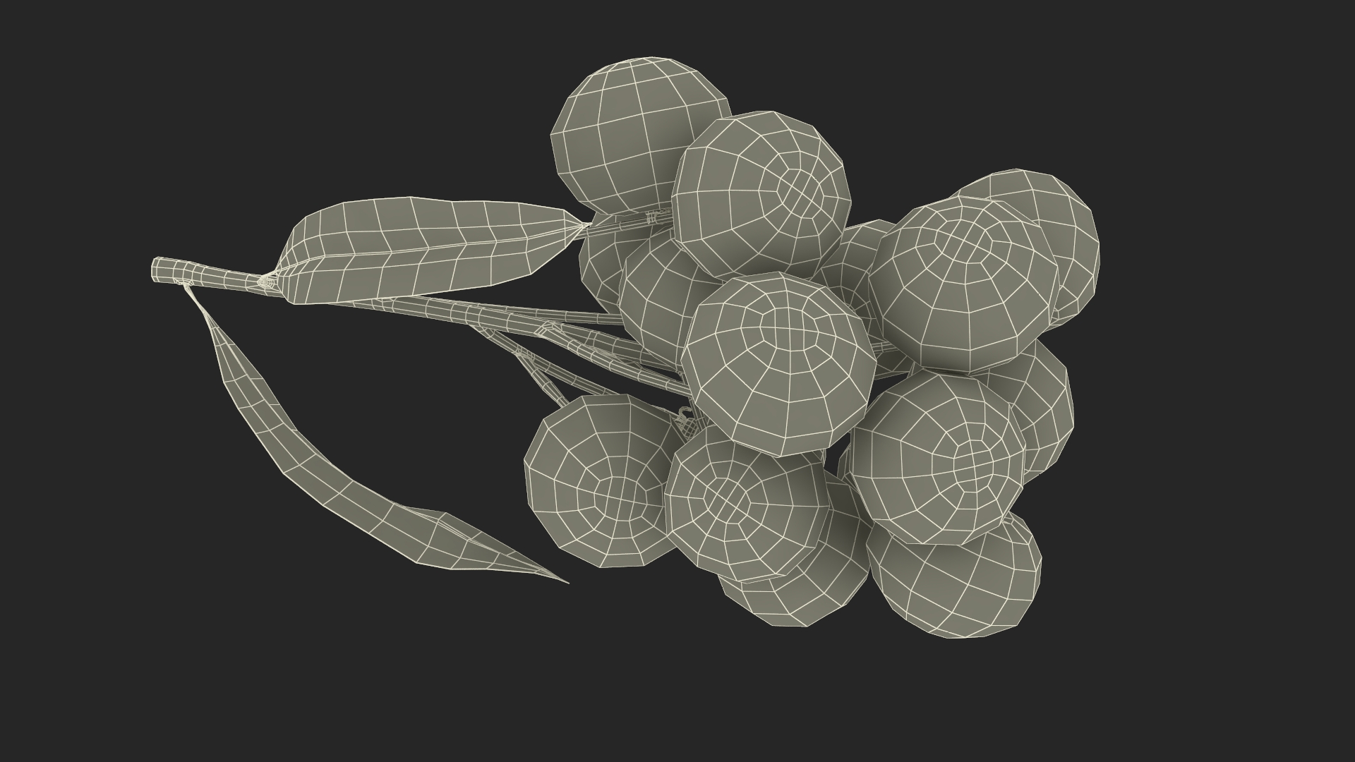 Longan Fruit Branch 3D model