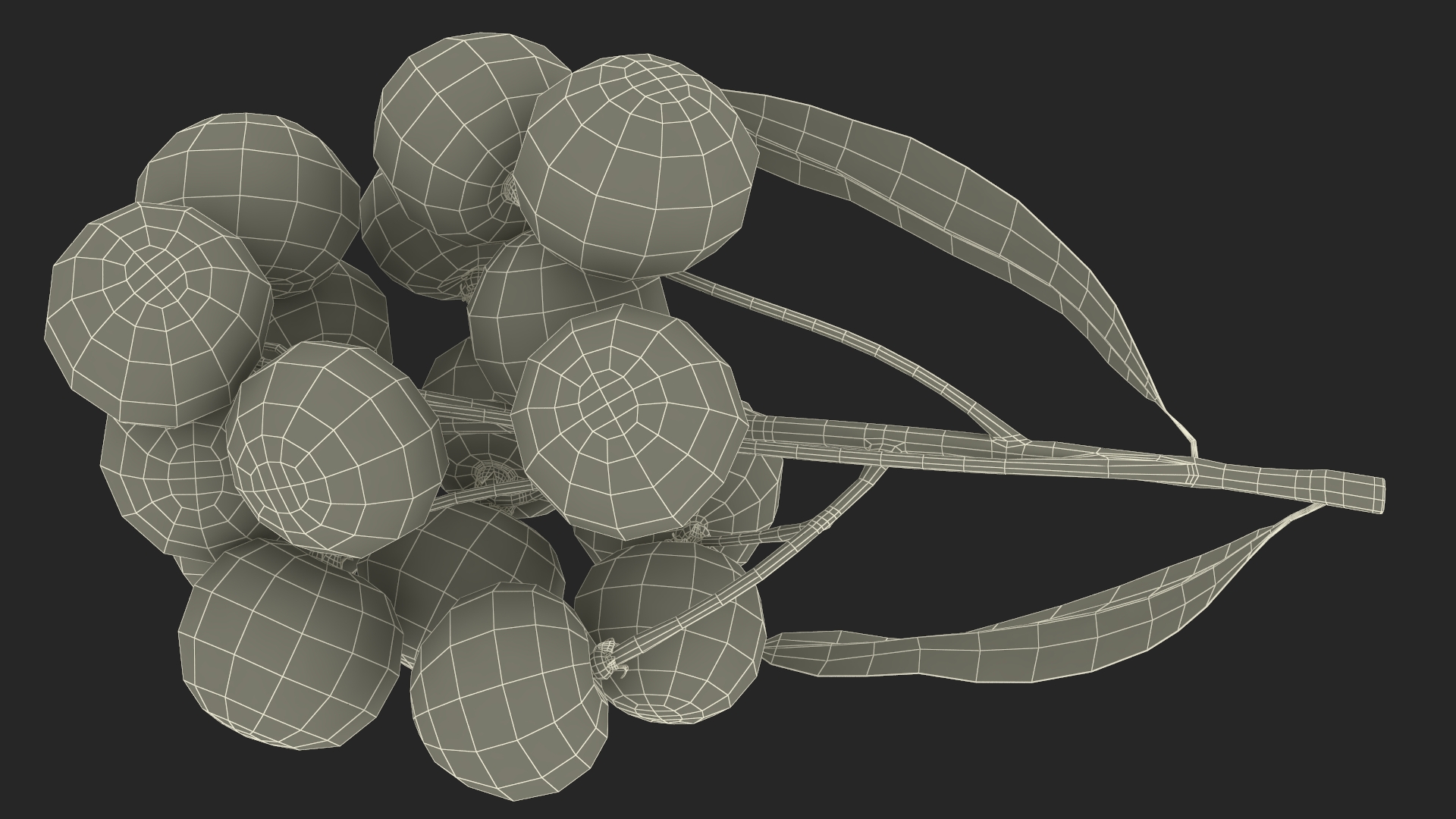 Longan Fruit Branch 3D model