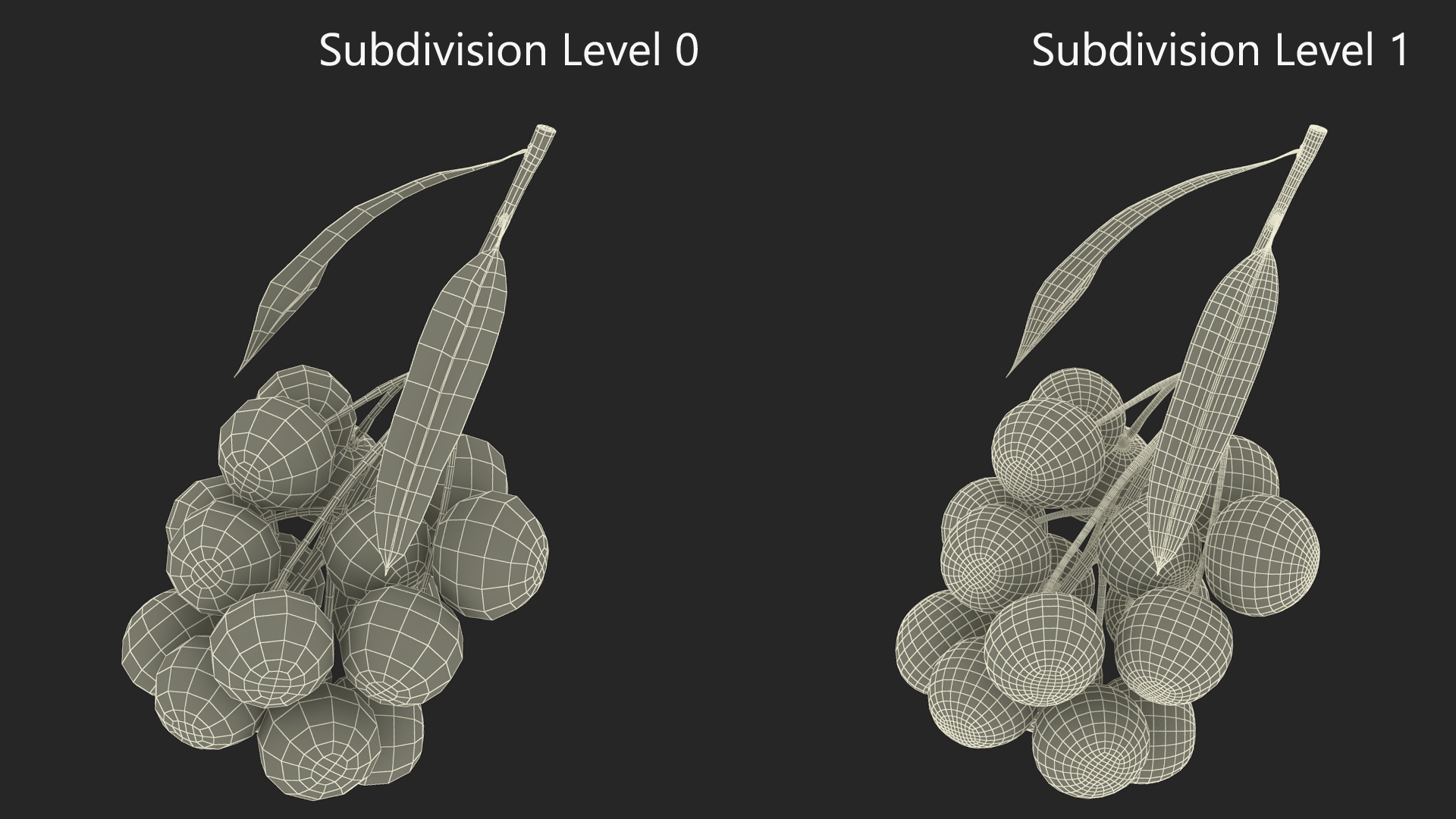 Longan Fruit Branch 3D model