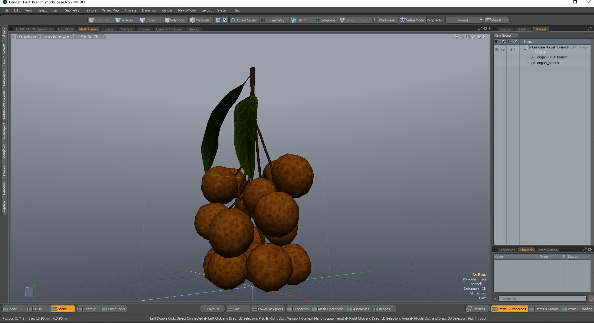 Longan Fruit Branch 3D model