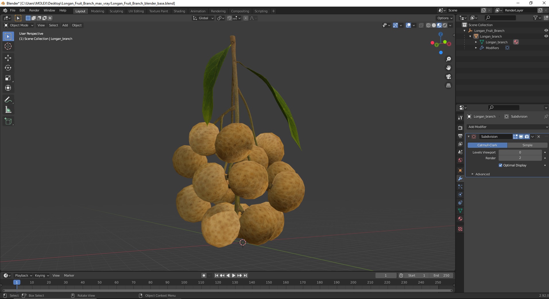 Longan Fruit Branch 3D model