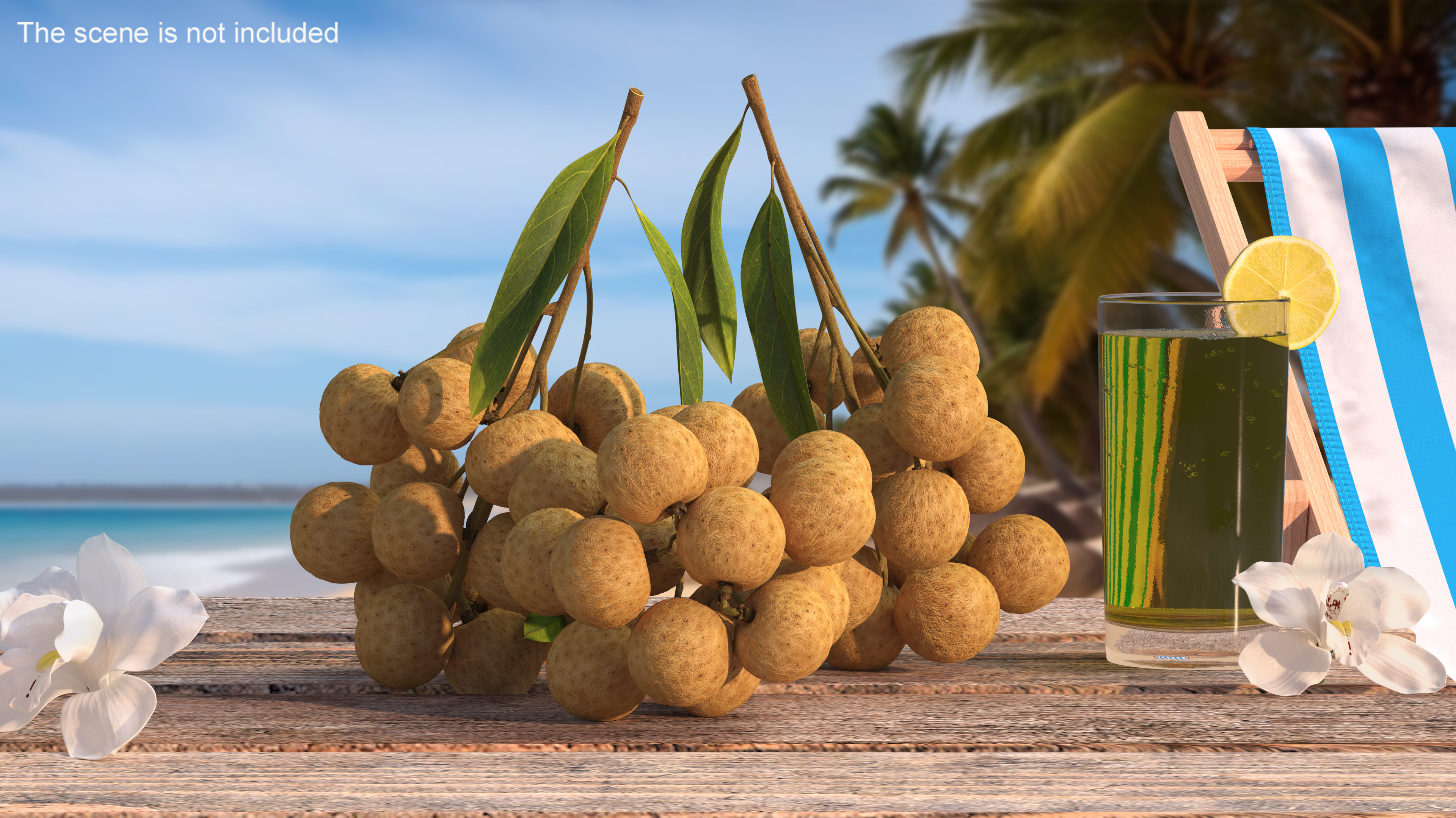 Longan Fruit Branch 3D model