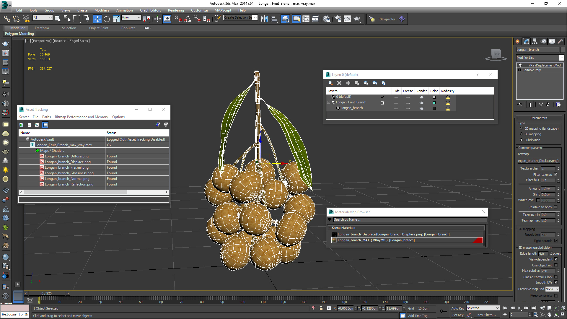 Longan Fruit Branch 3D model