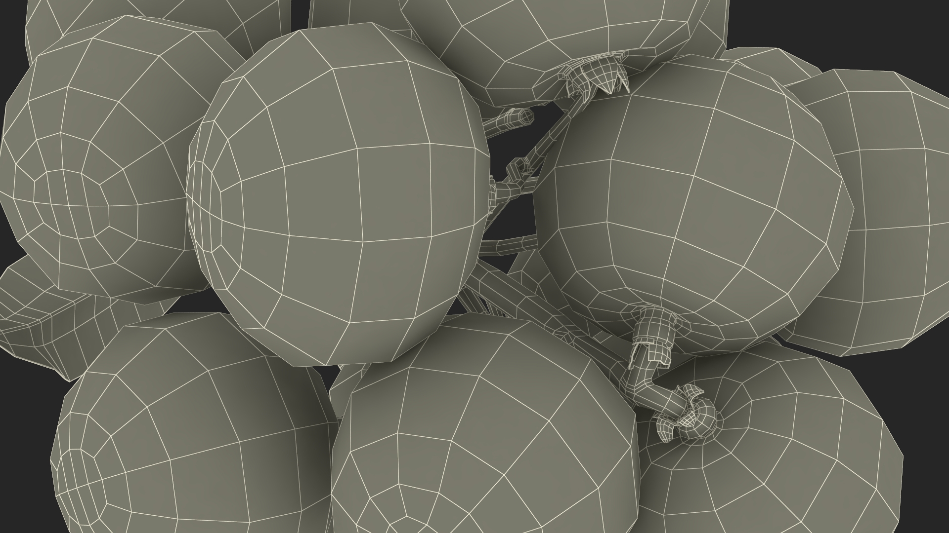 Longan Fruit Branch 3D model