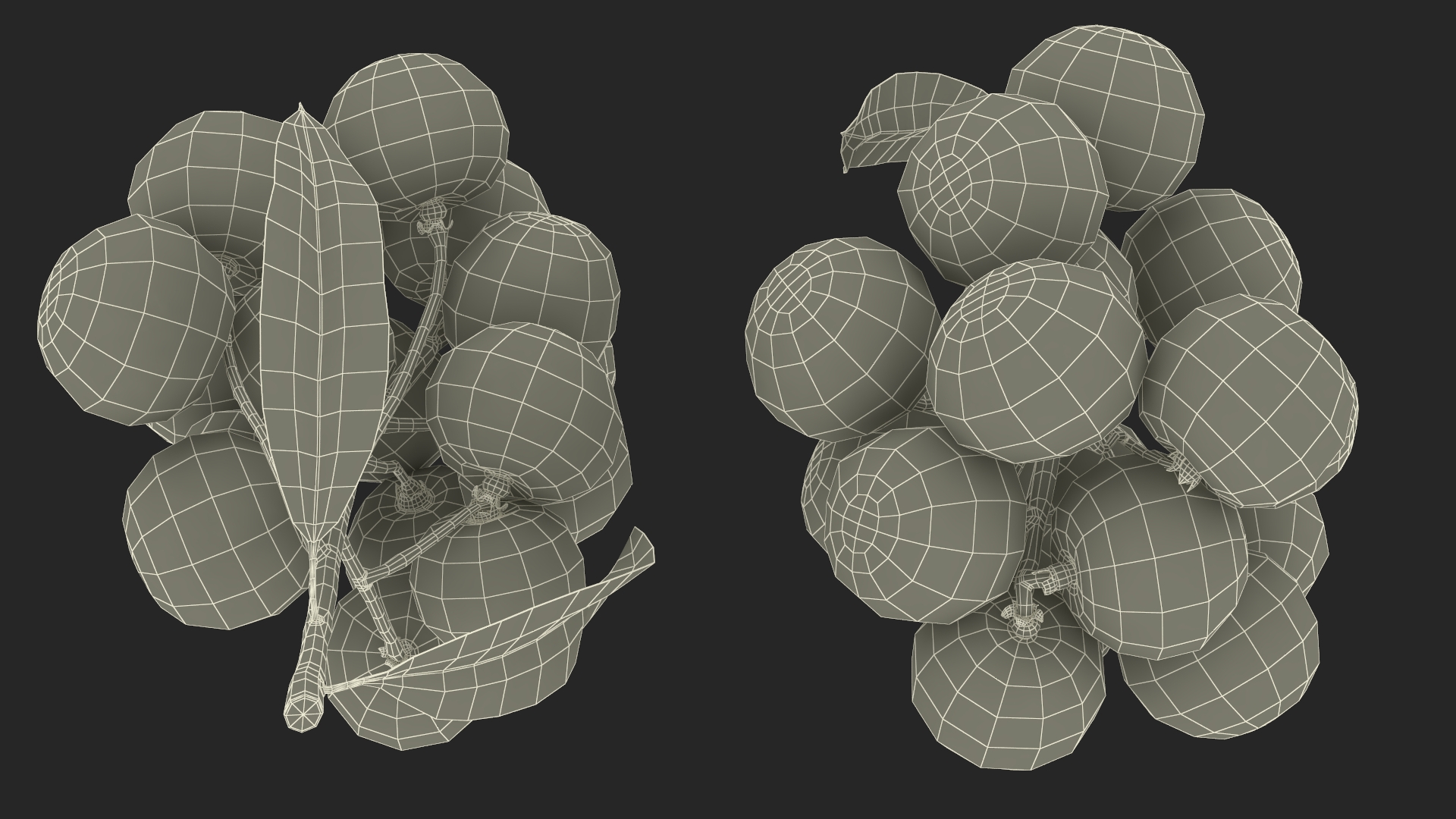 Longan Fruit Branch 3D model