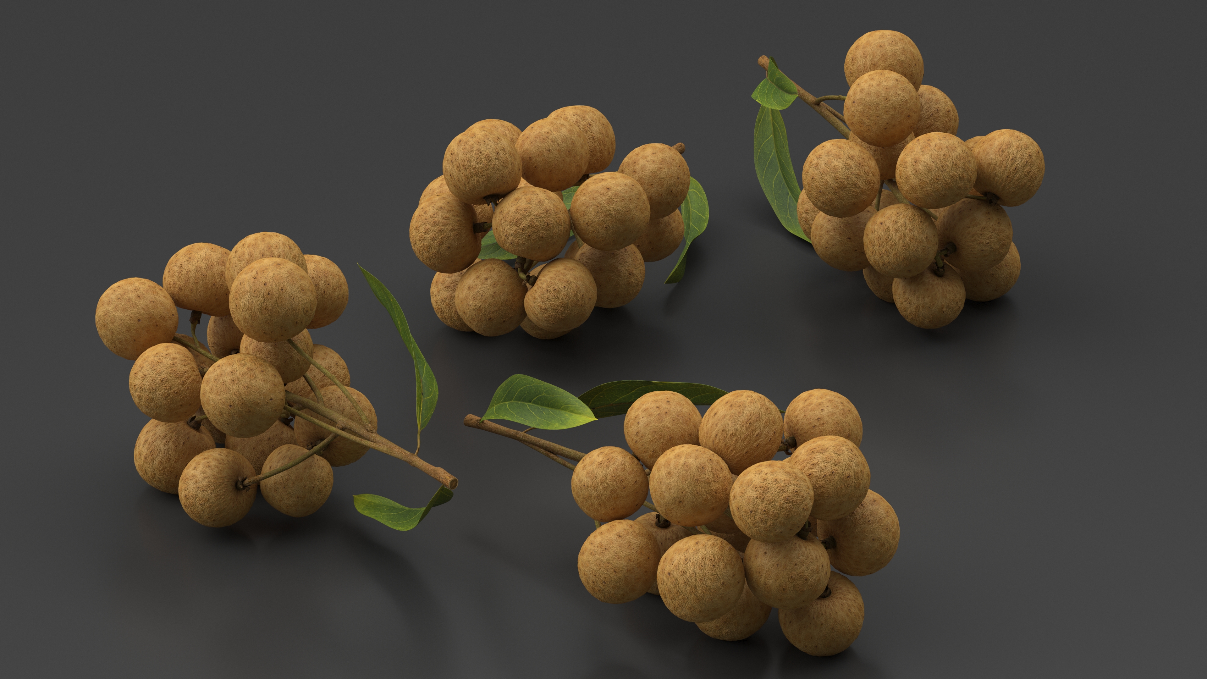 Longan Fruit Branch 3D model