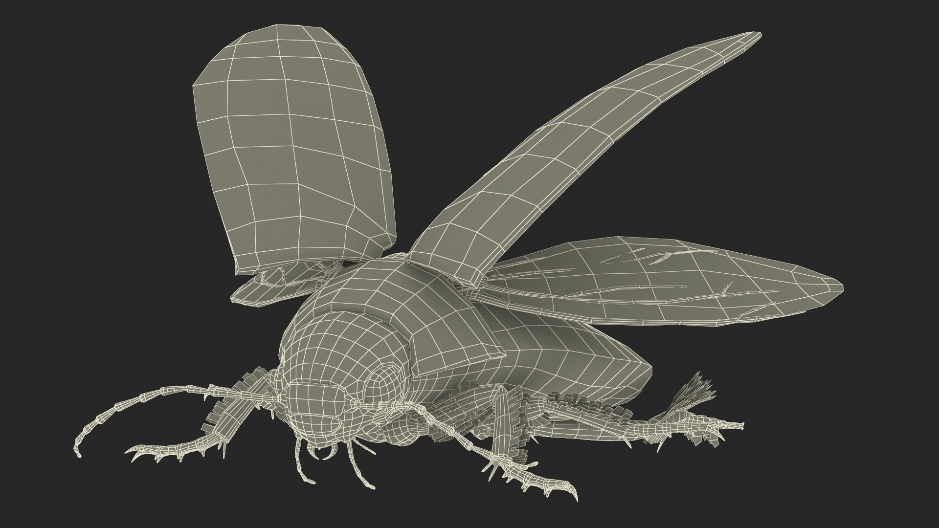 3D Hygrobia Beetle Beige Flying model