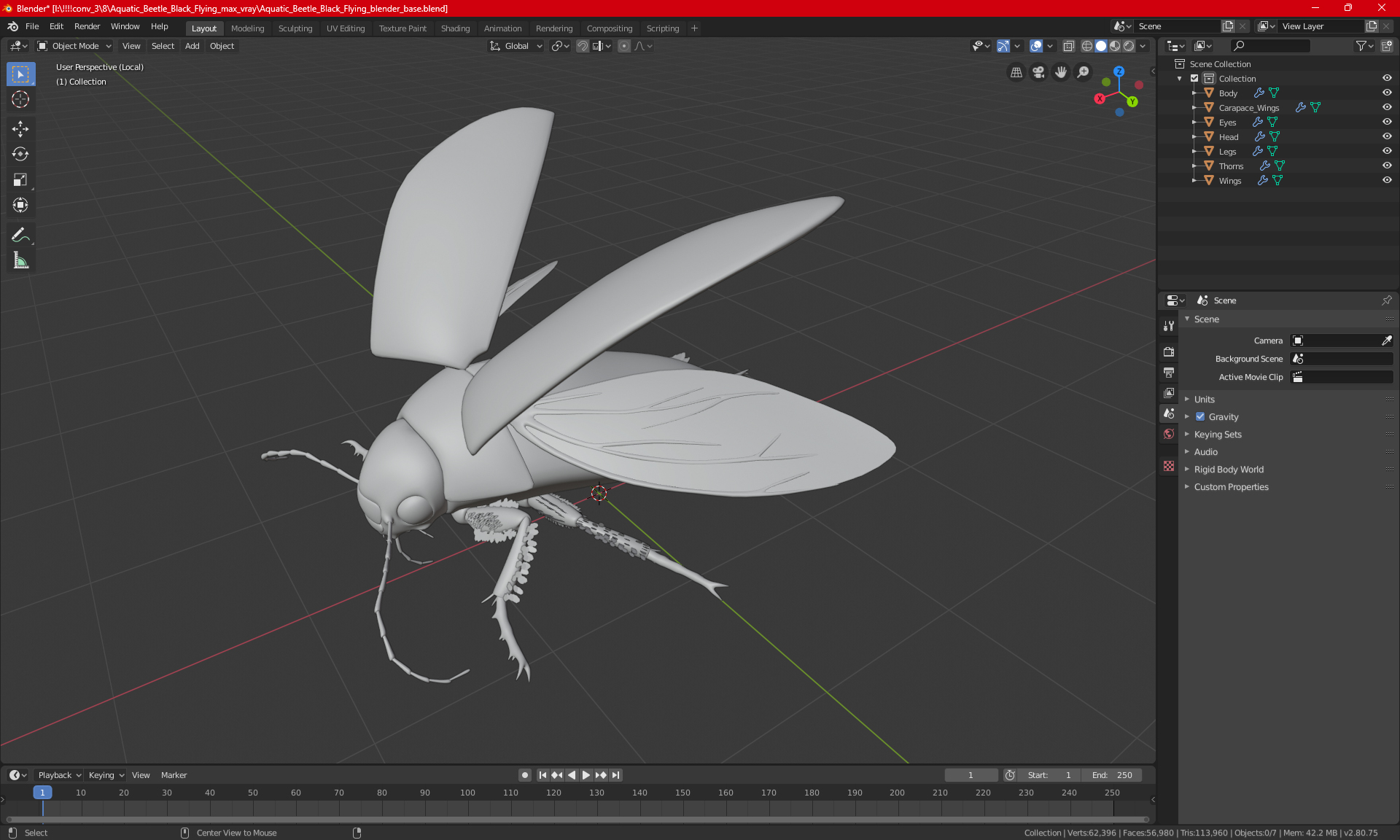 3D Hygrobia Beetle Beige Flying model