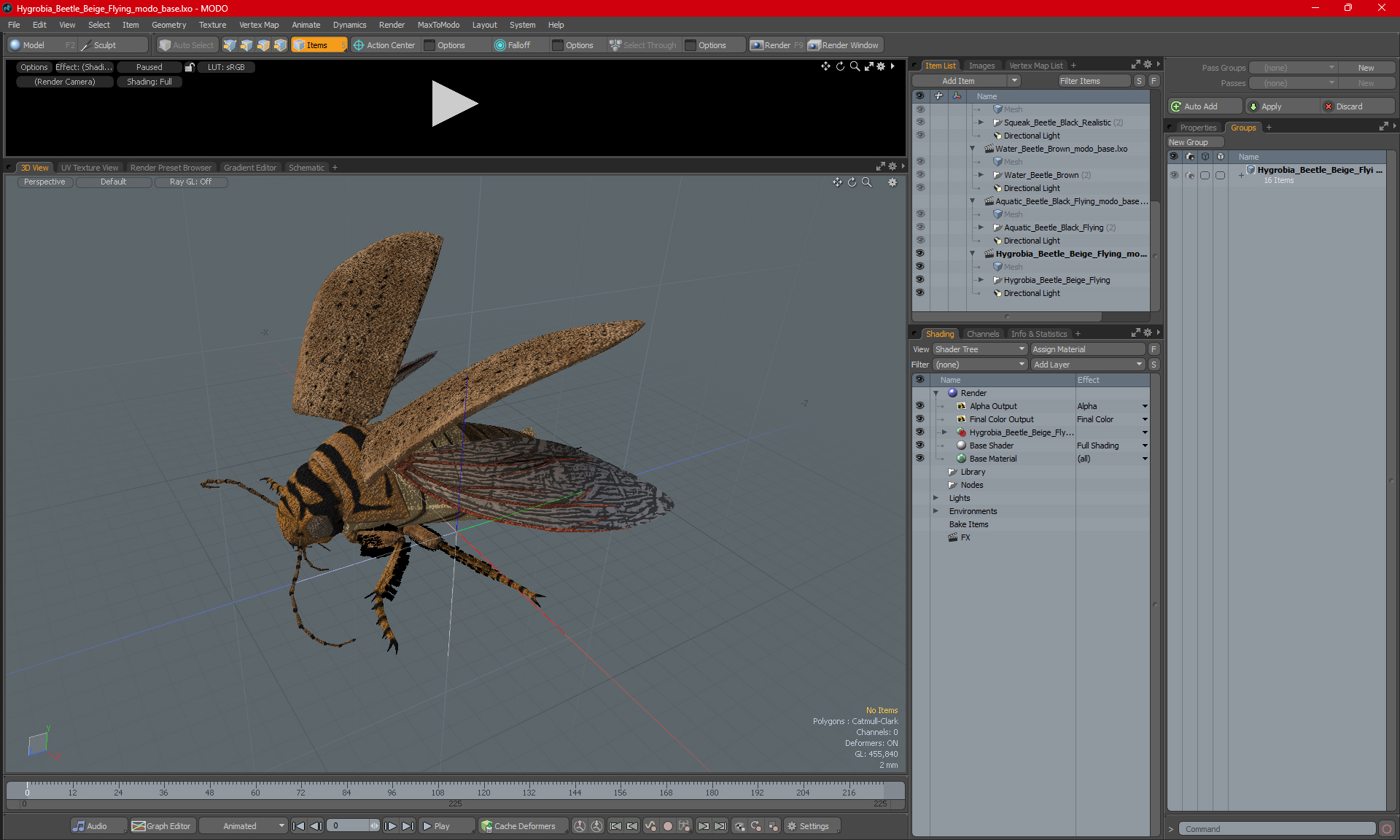 3D Hygrobia Beetle Beige Flying model