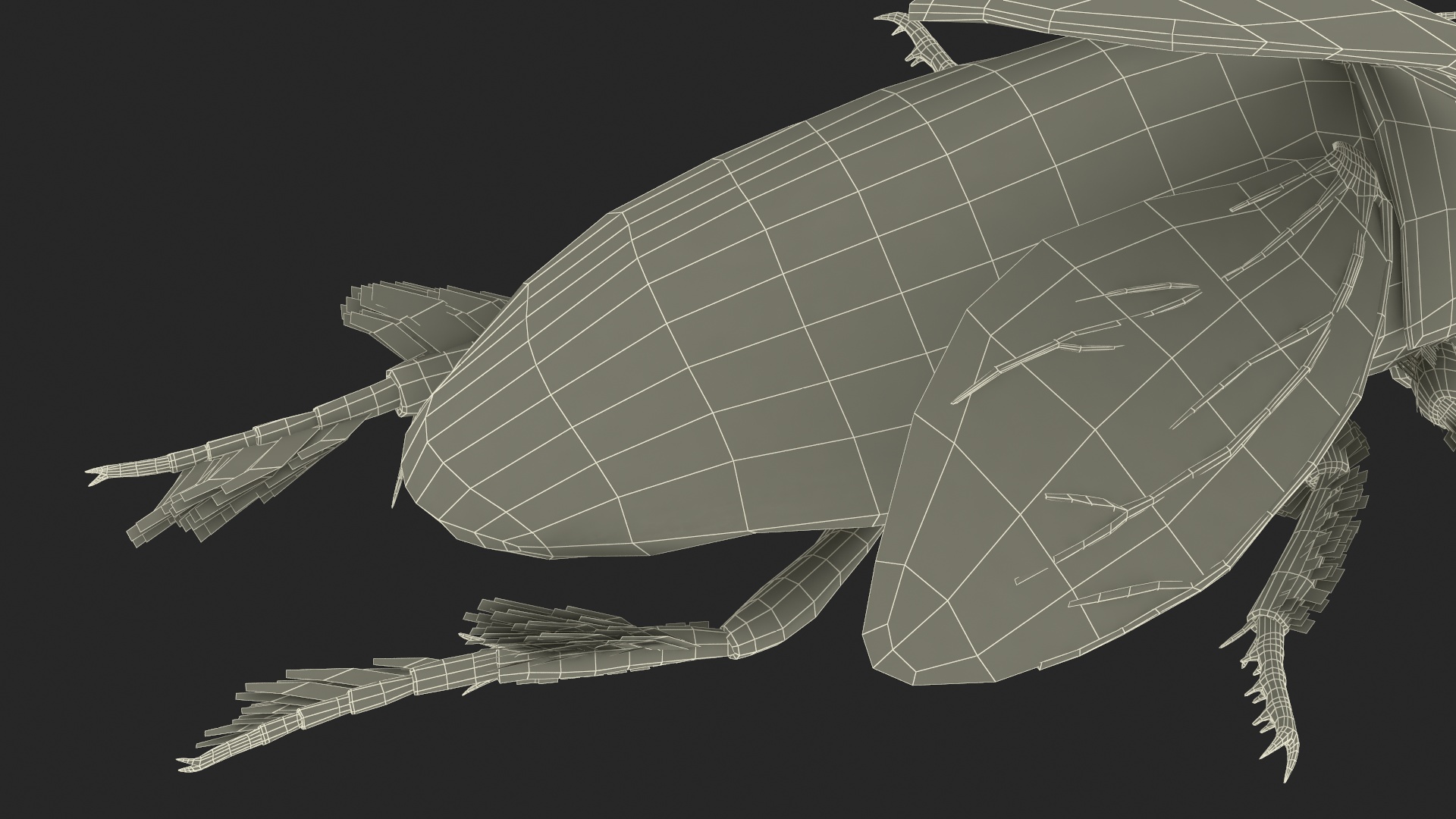 3D Hygrobia Beetle Beige Flying model