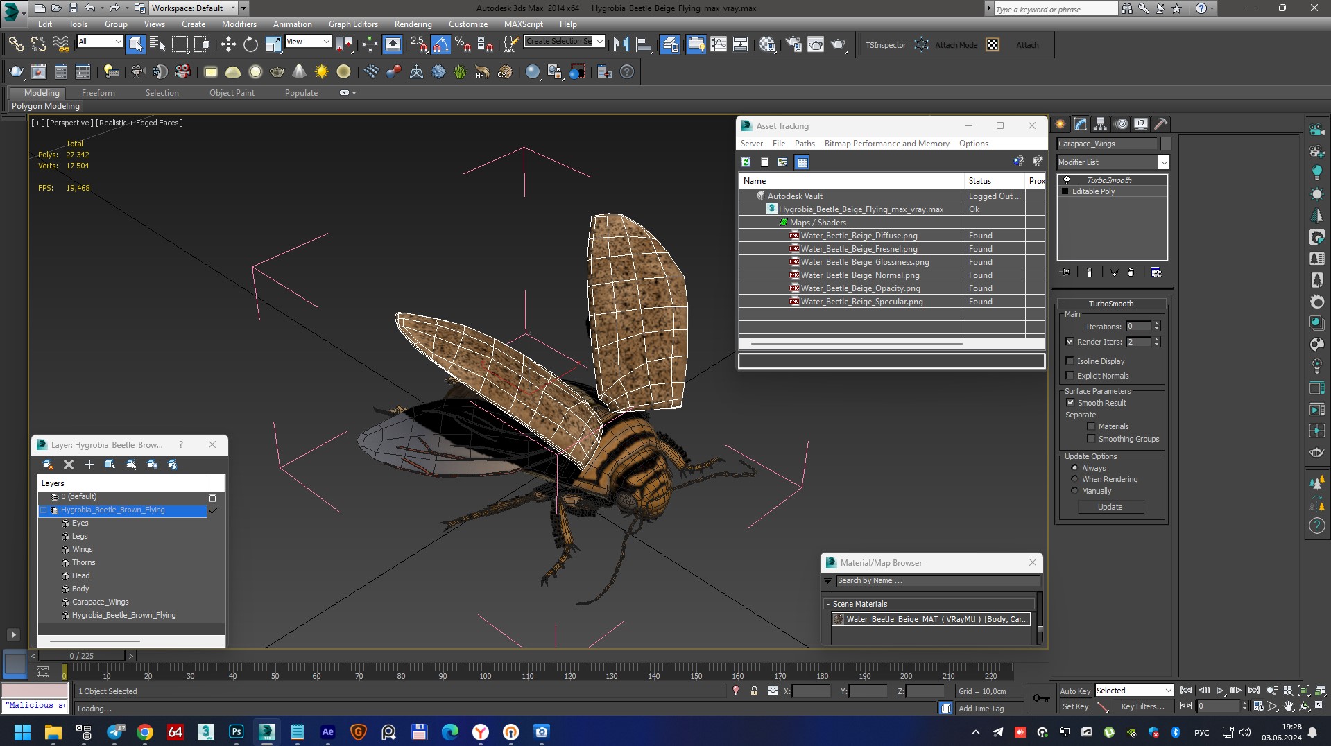 3D Hygrobia Beetle Beige Flying model