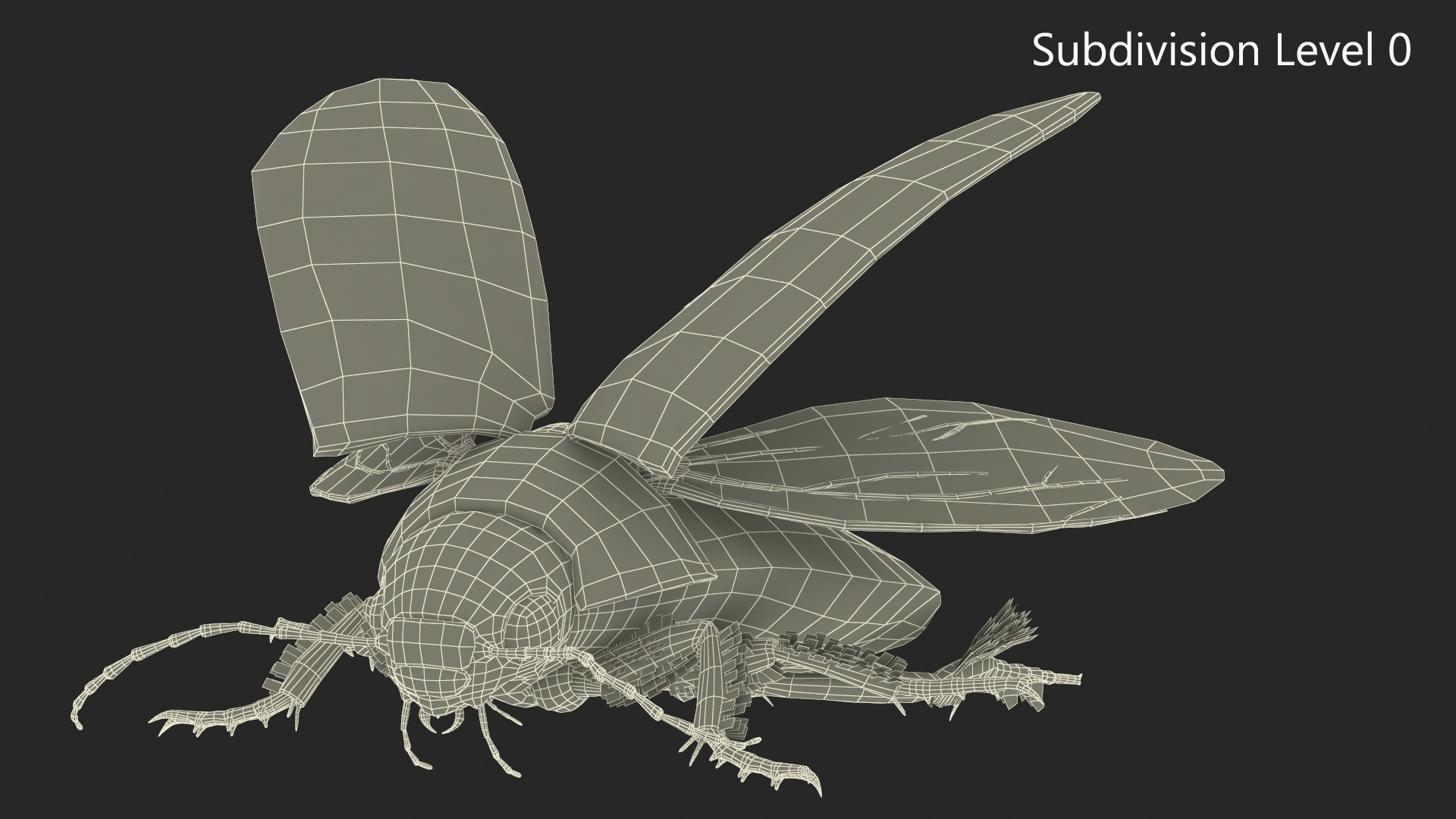 3D Hygrobia Beetle Beige Flying model