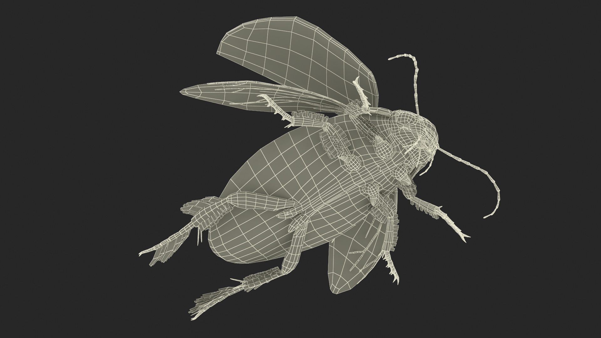 3D Hygrobia Beetle Beige Flying model