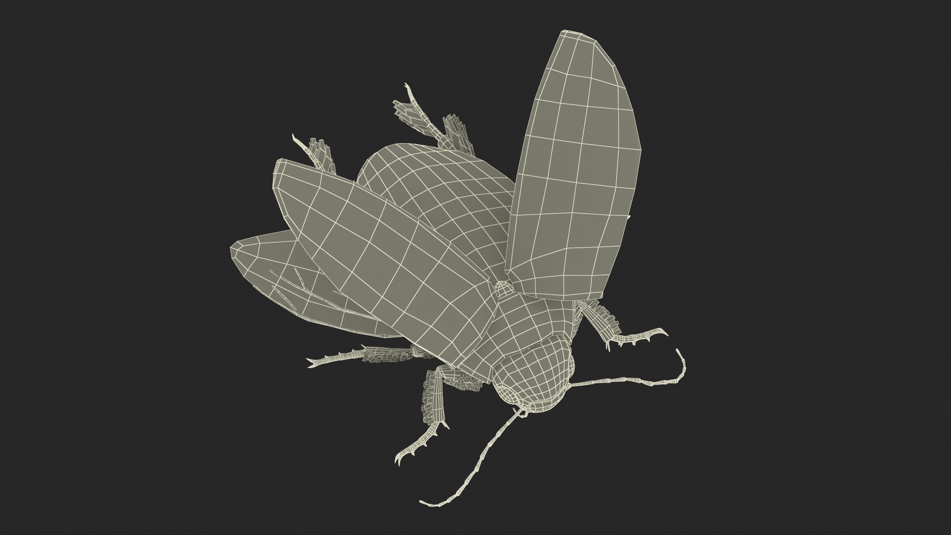 3D Hygrobia Beetle Beige Flying model