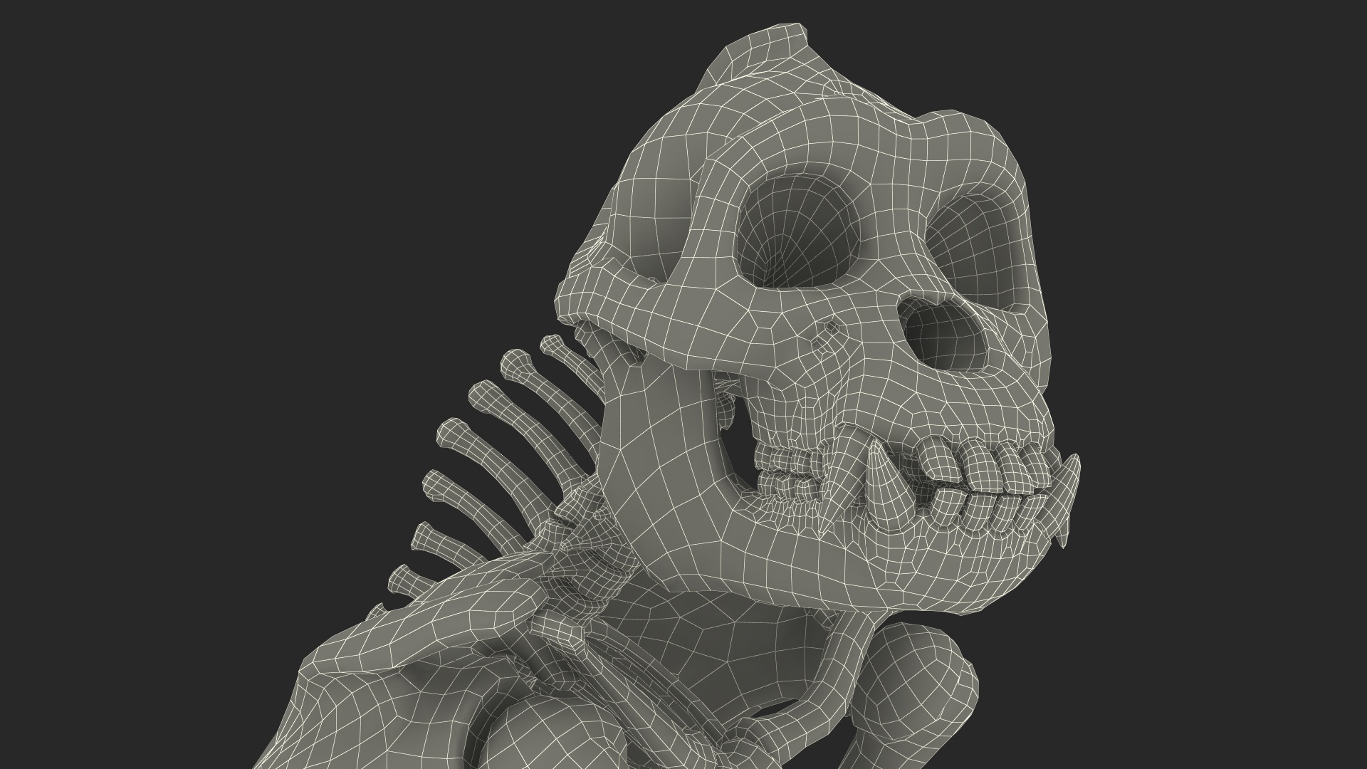 Gorilla Skeleton Sitting 3D model