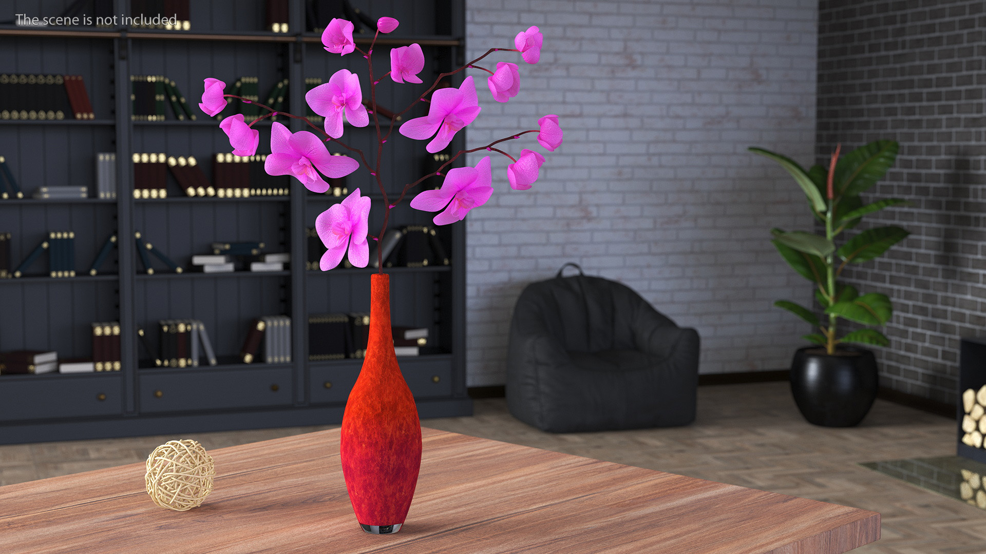 Pink Phalaenopsis Orchid 3D model