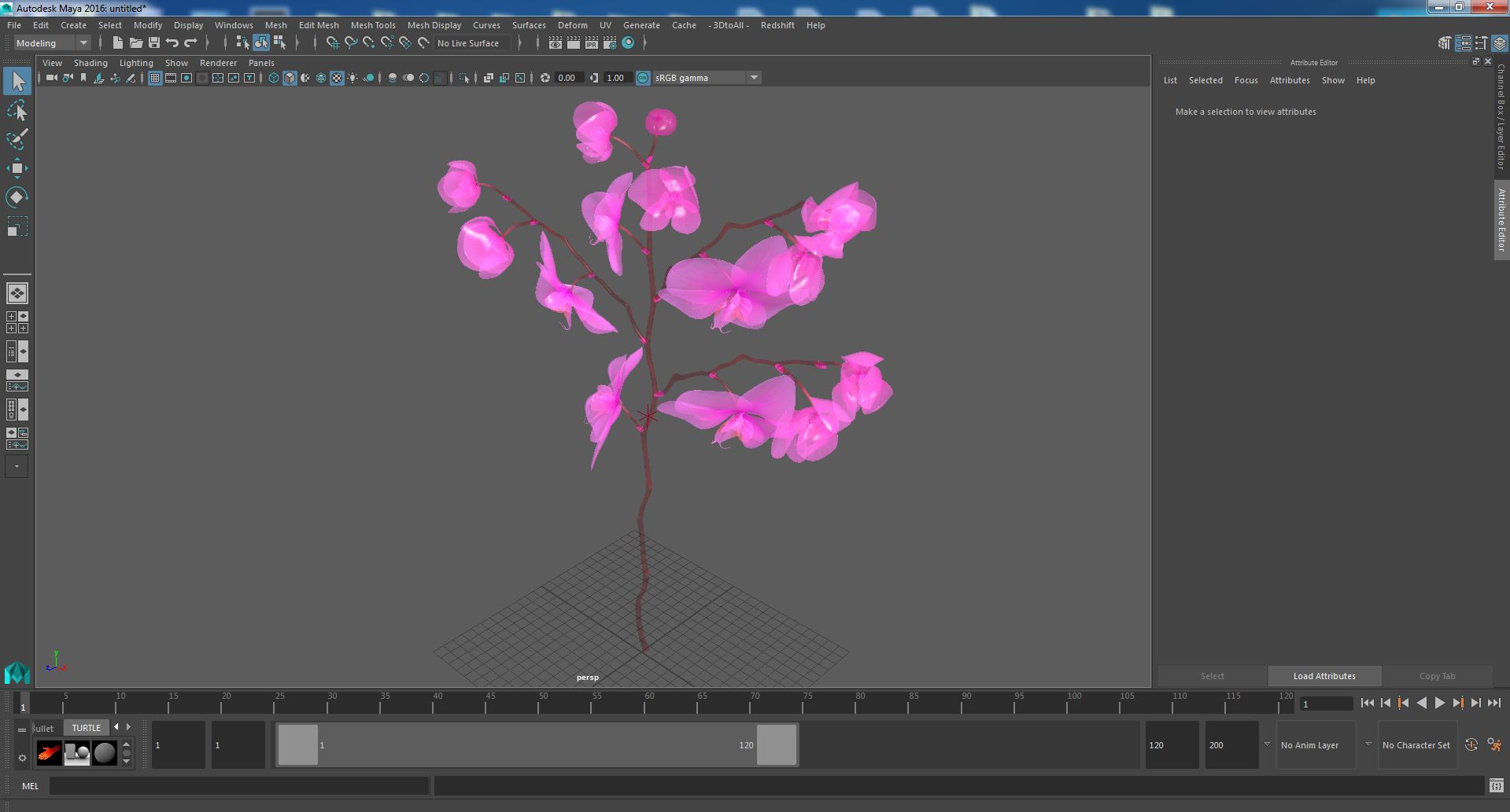 Pink Phalaenopsis Orchid 3D model