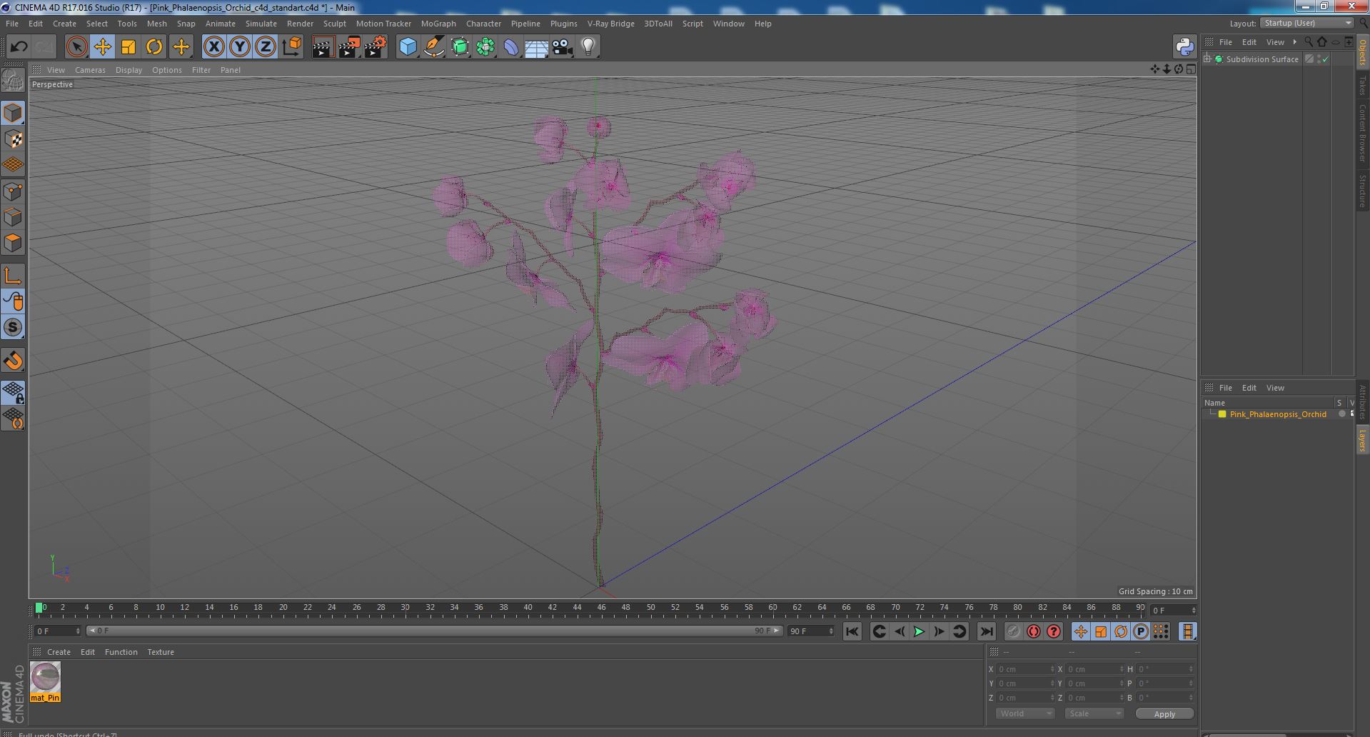 Pink Phalaenopsis Orchid 3D model