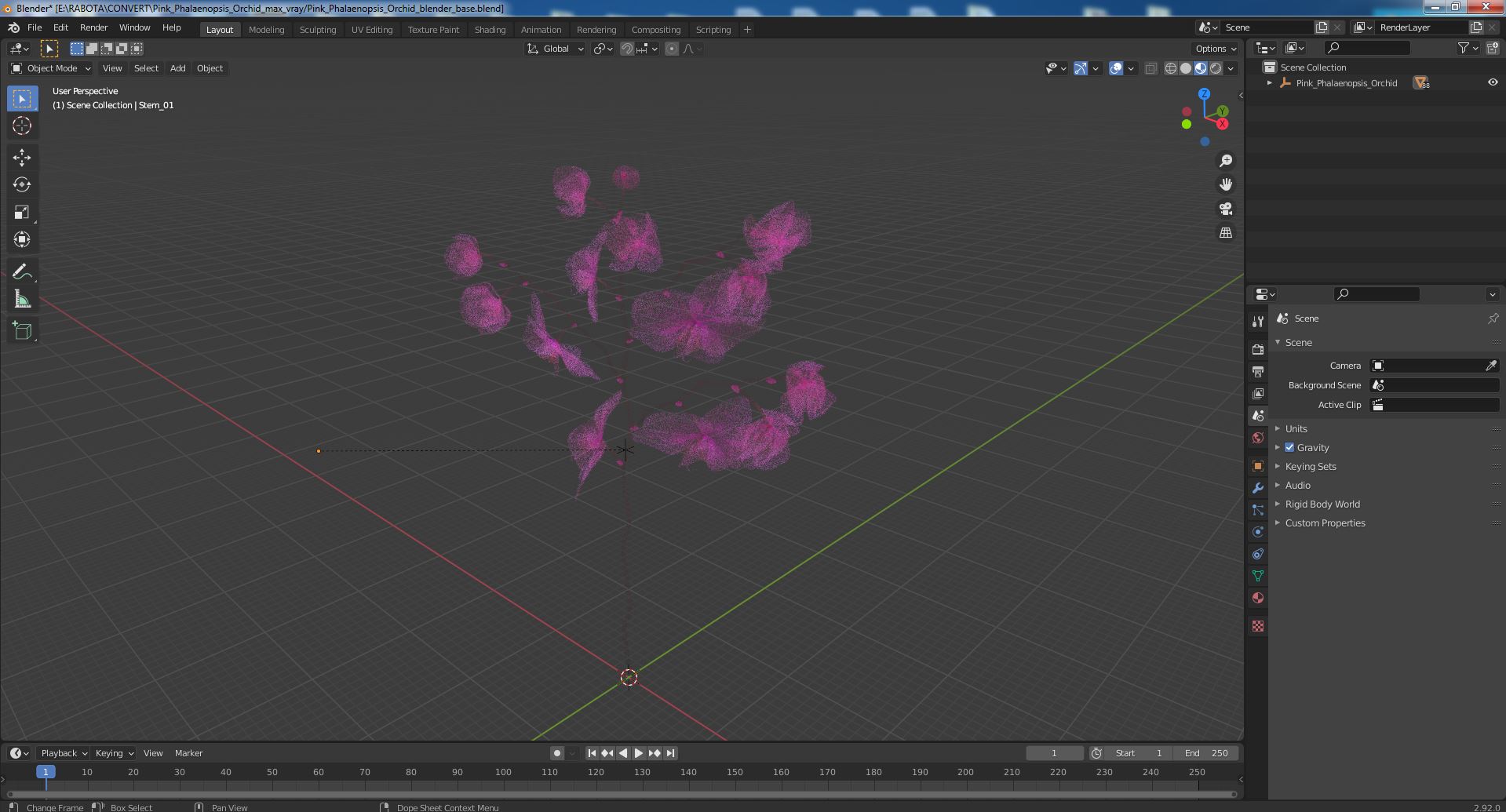 Pink Phalaenopsis Orchid 3D model