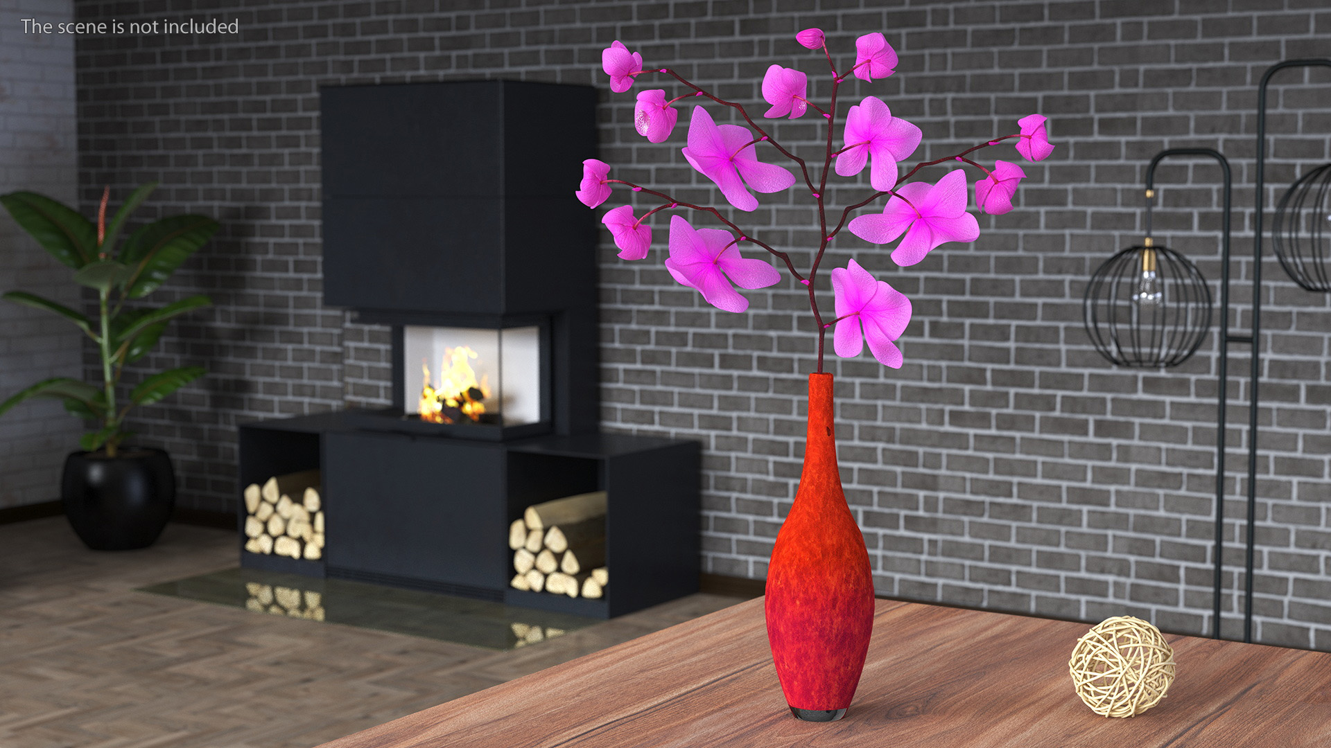 Pink Phalaenopsis Orchid 3D model