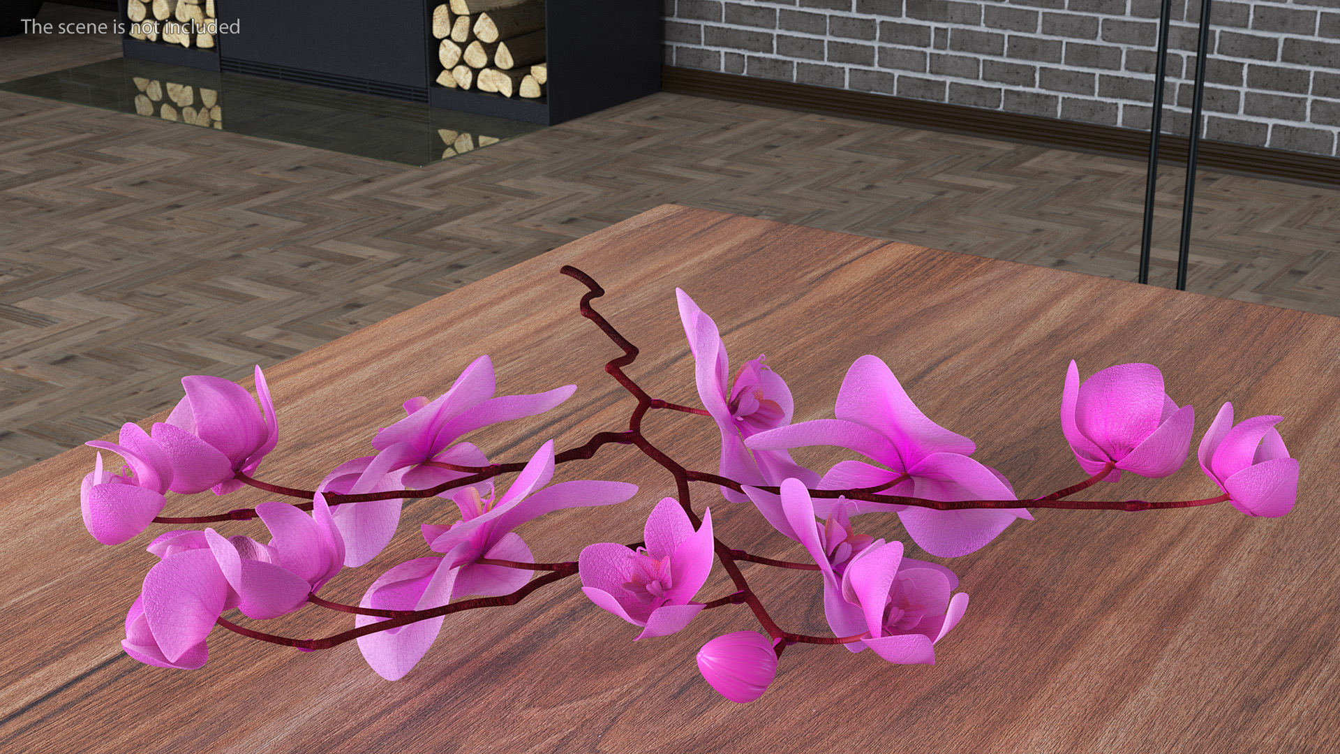 Pink Phalaenopsis Orchid 3D model