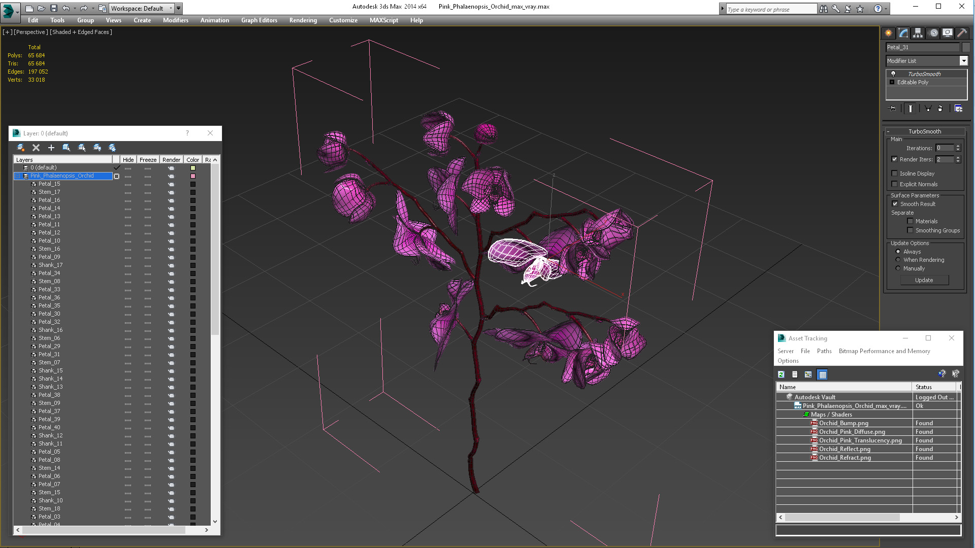 Pink Phalaenopsis Orchid 3D model