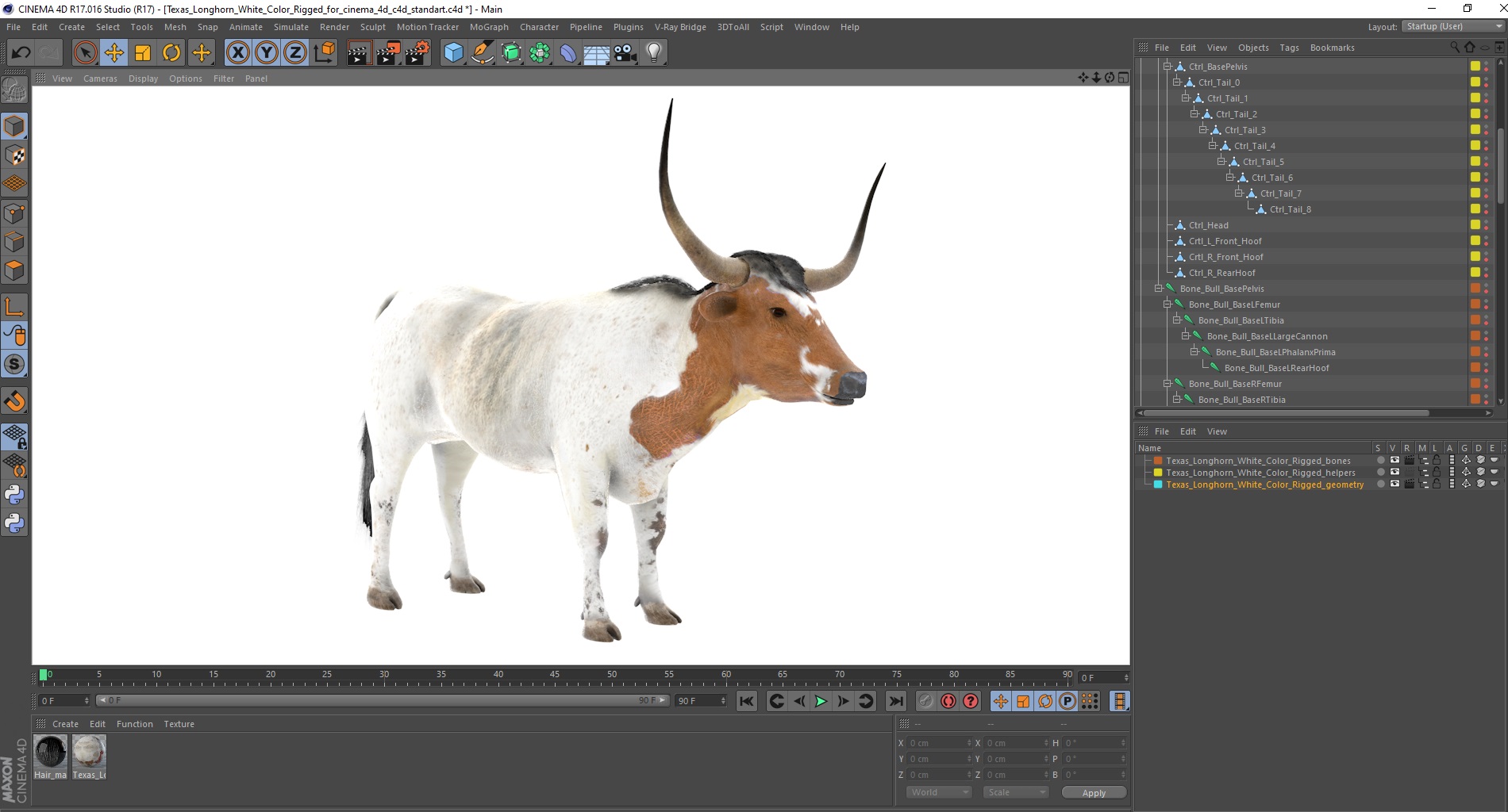 Texas Longhorn White Color Rigged for Cinema 4D 3D