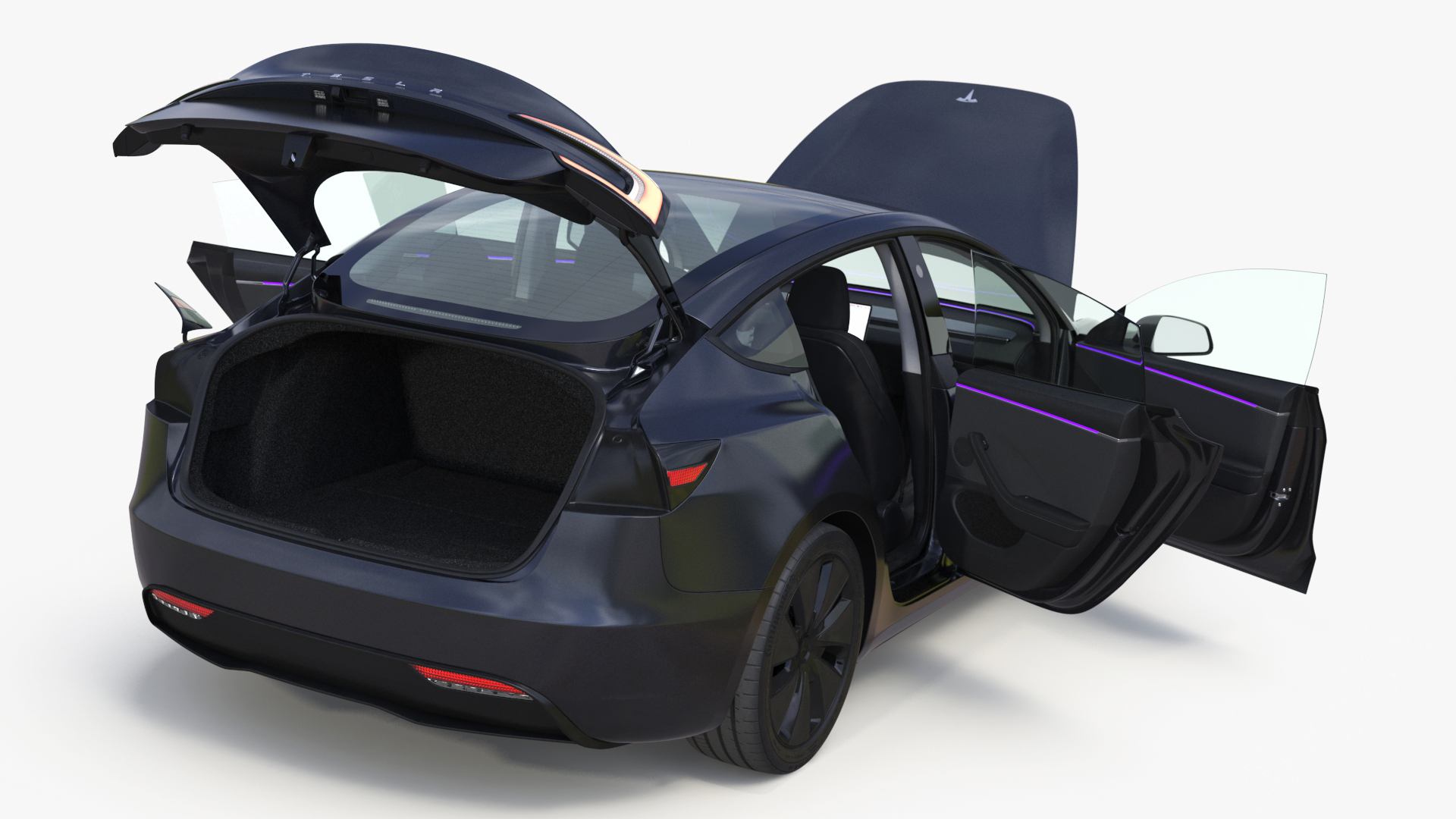 3D model Tesla Model 3 2024 with Tesla Bot Rigged