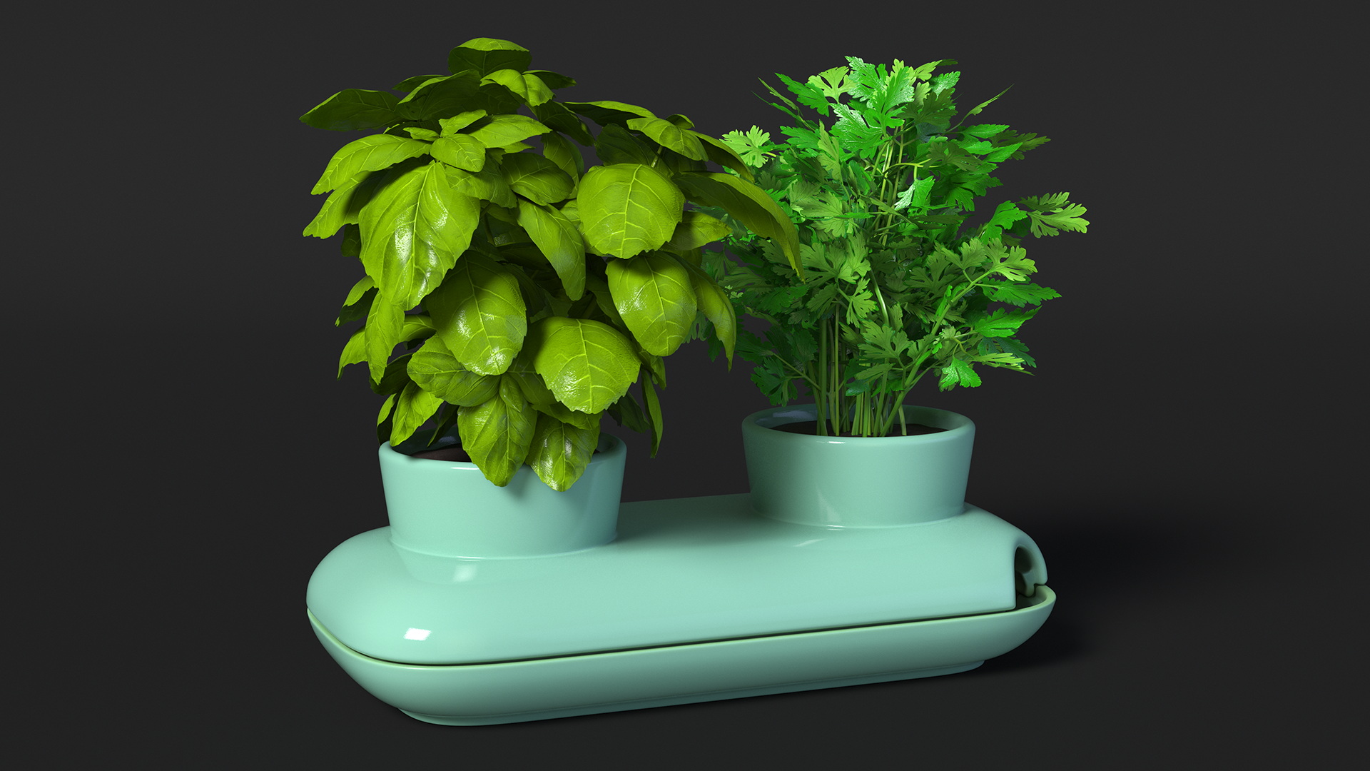 Herbs in Double Pot Sagaform Green 3D model