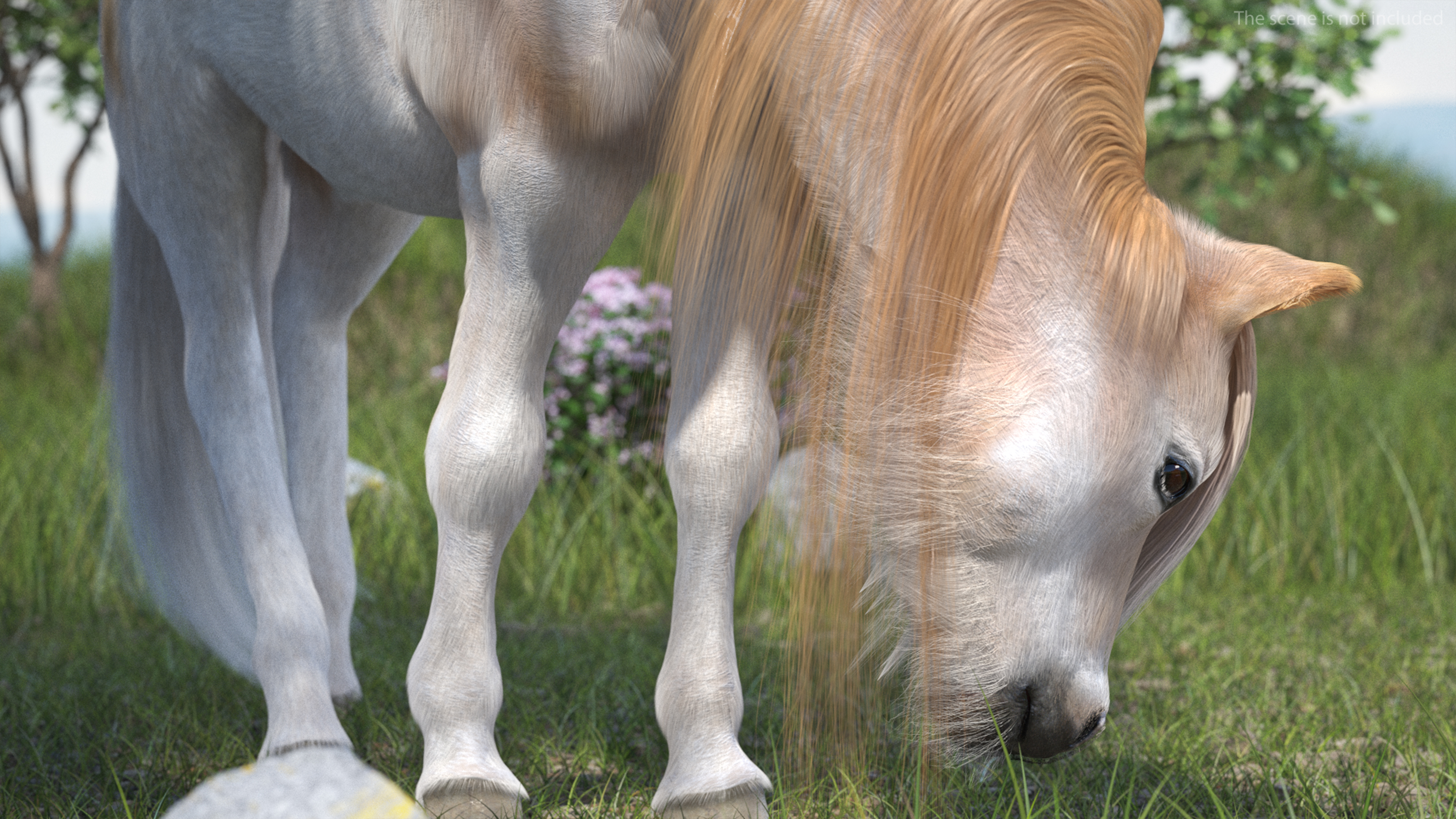3D Pony with Long Mane Grazing Fur