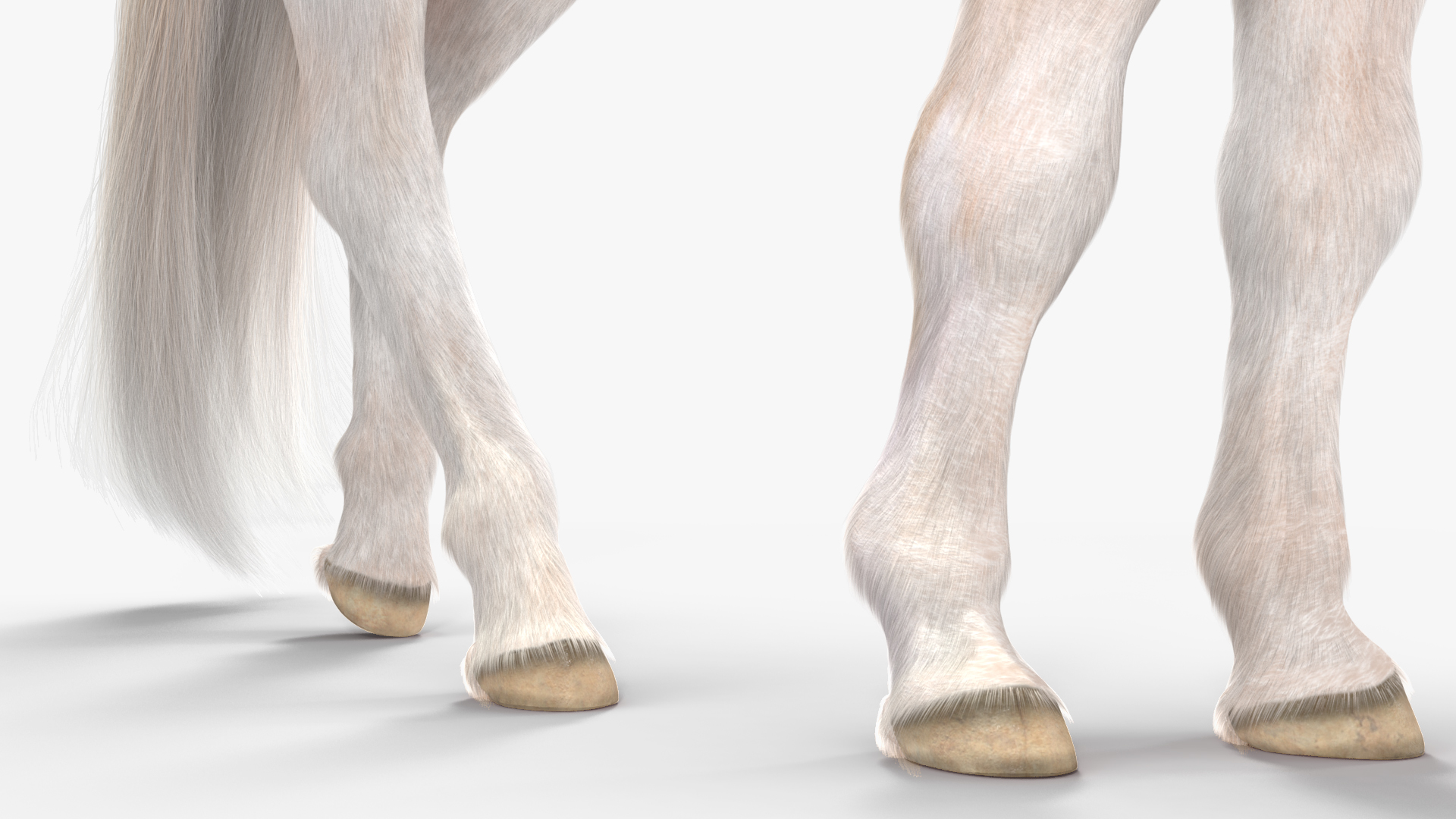 3D Pony with Long Mane Grazing Fur