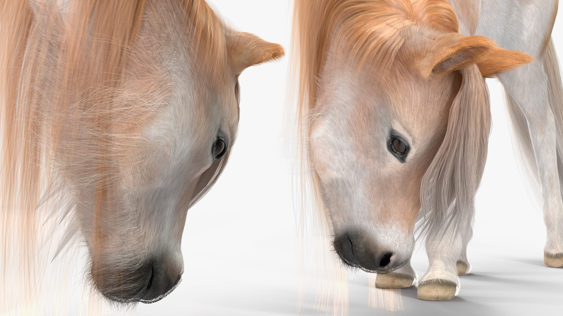 3D Pony with Long Mane Grazing Fur