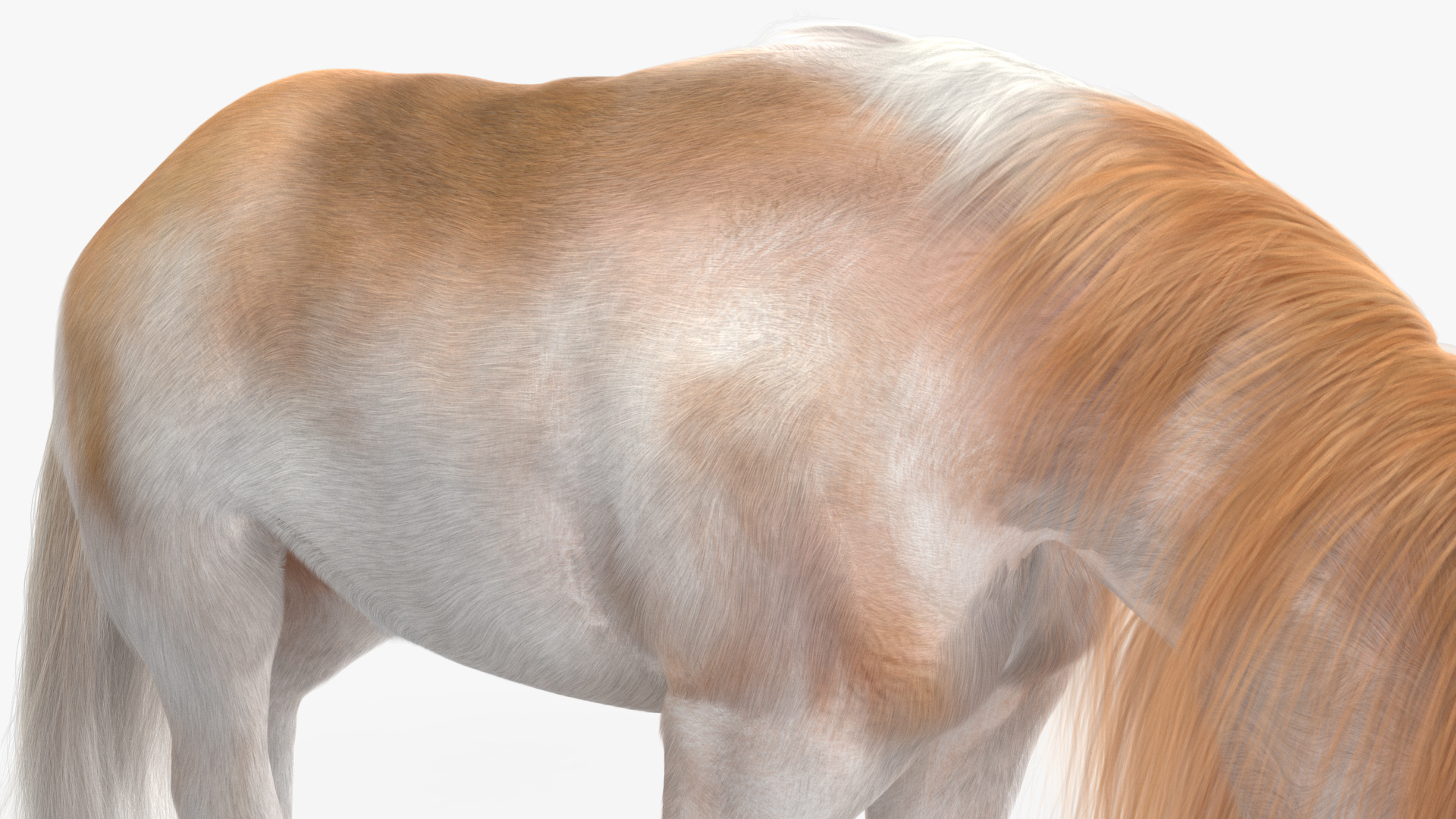 3D Pony with Long Mane Grazing Fur