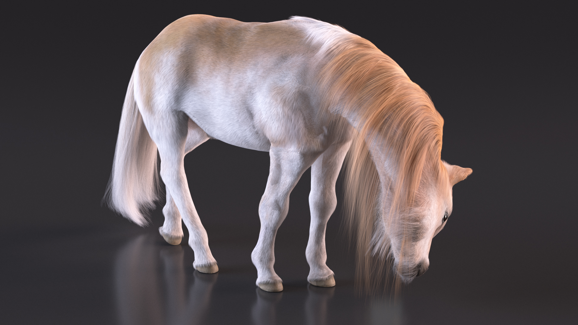 3D Pony with Long Mane Grazing Fur