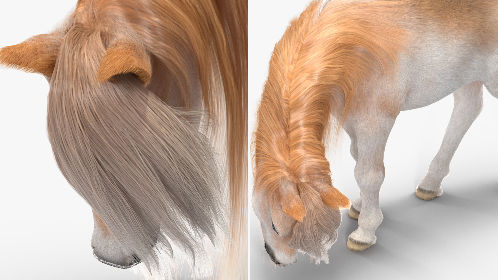 3D Pony with Long Mane Grazing Fur