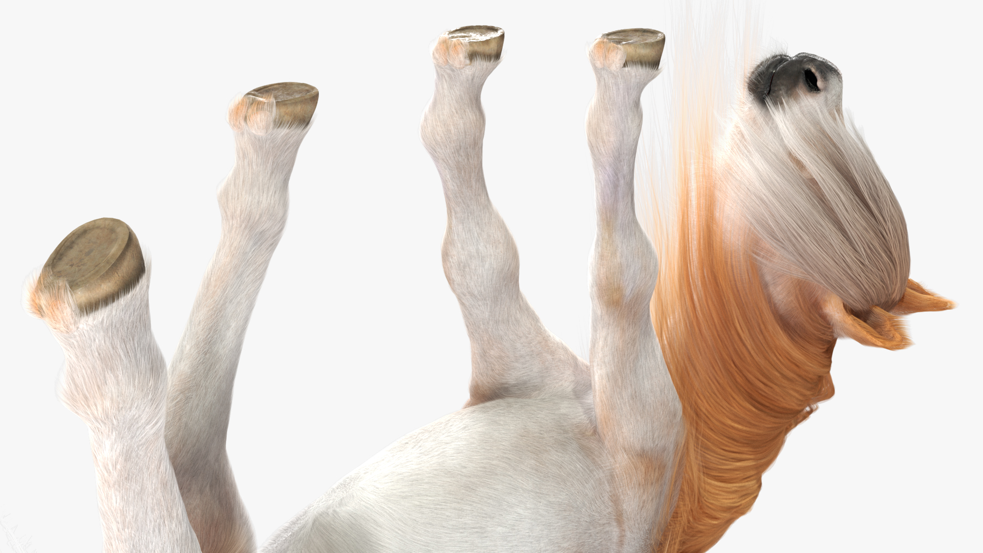 3D Pony with Long Mane Grazing Fur