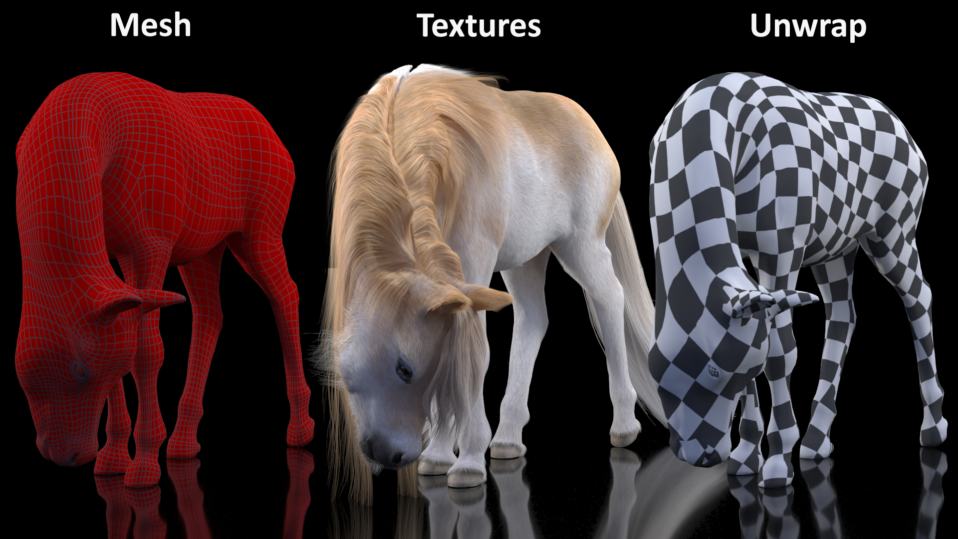 3D Pony with Long Mane Grazing Fur