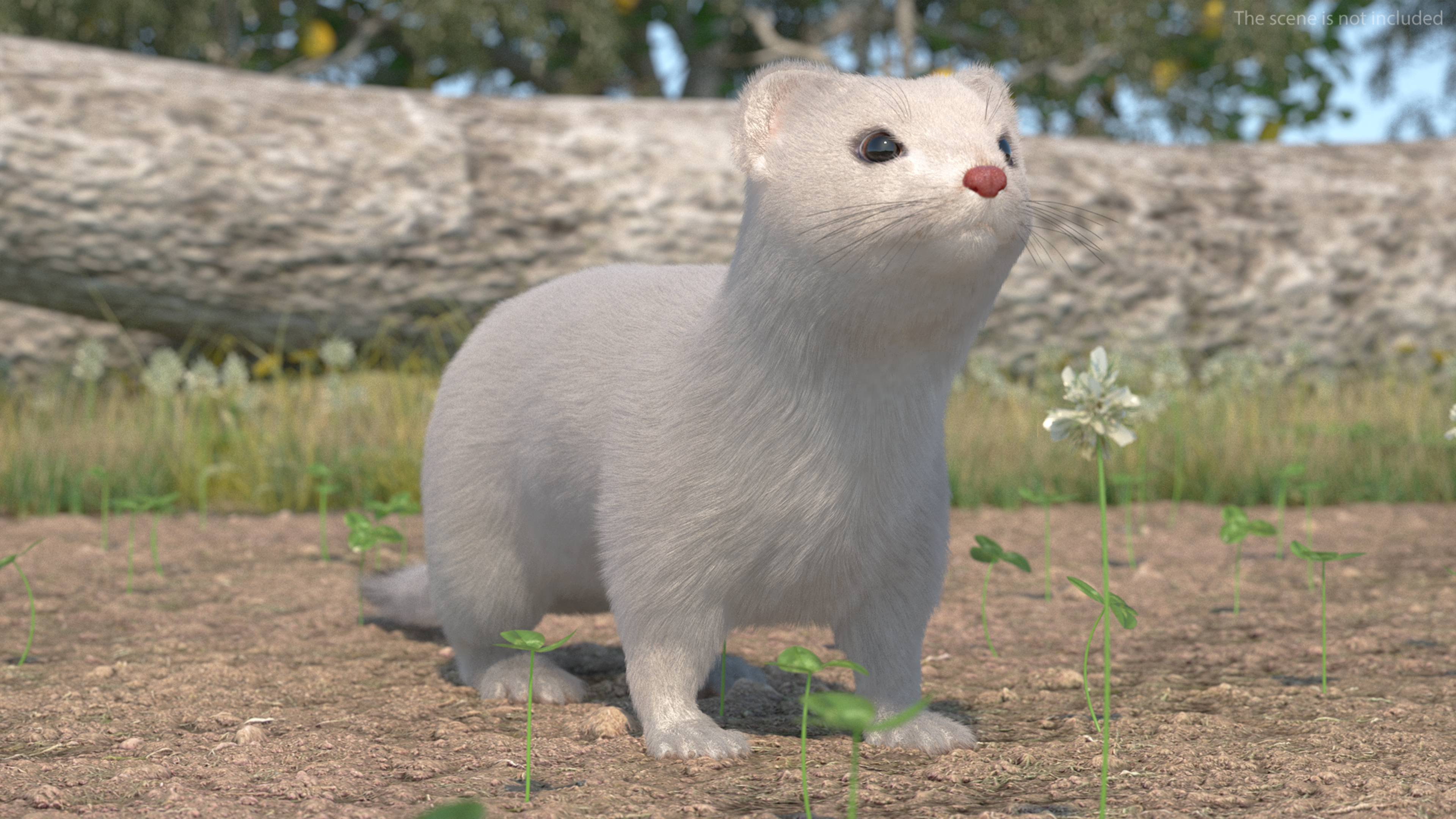 Ermine Winter Coat Fur 3D