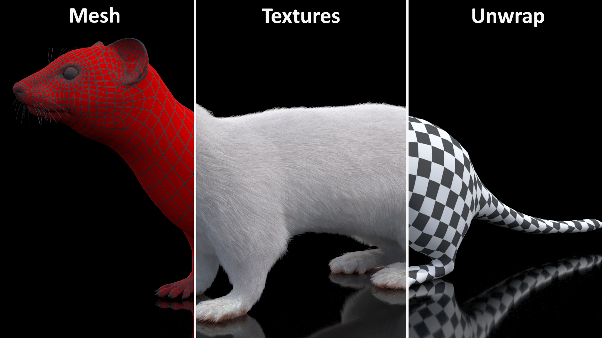 Ermine Winter Coat Fur 3D