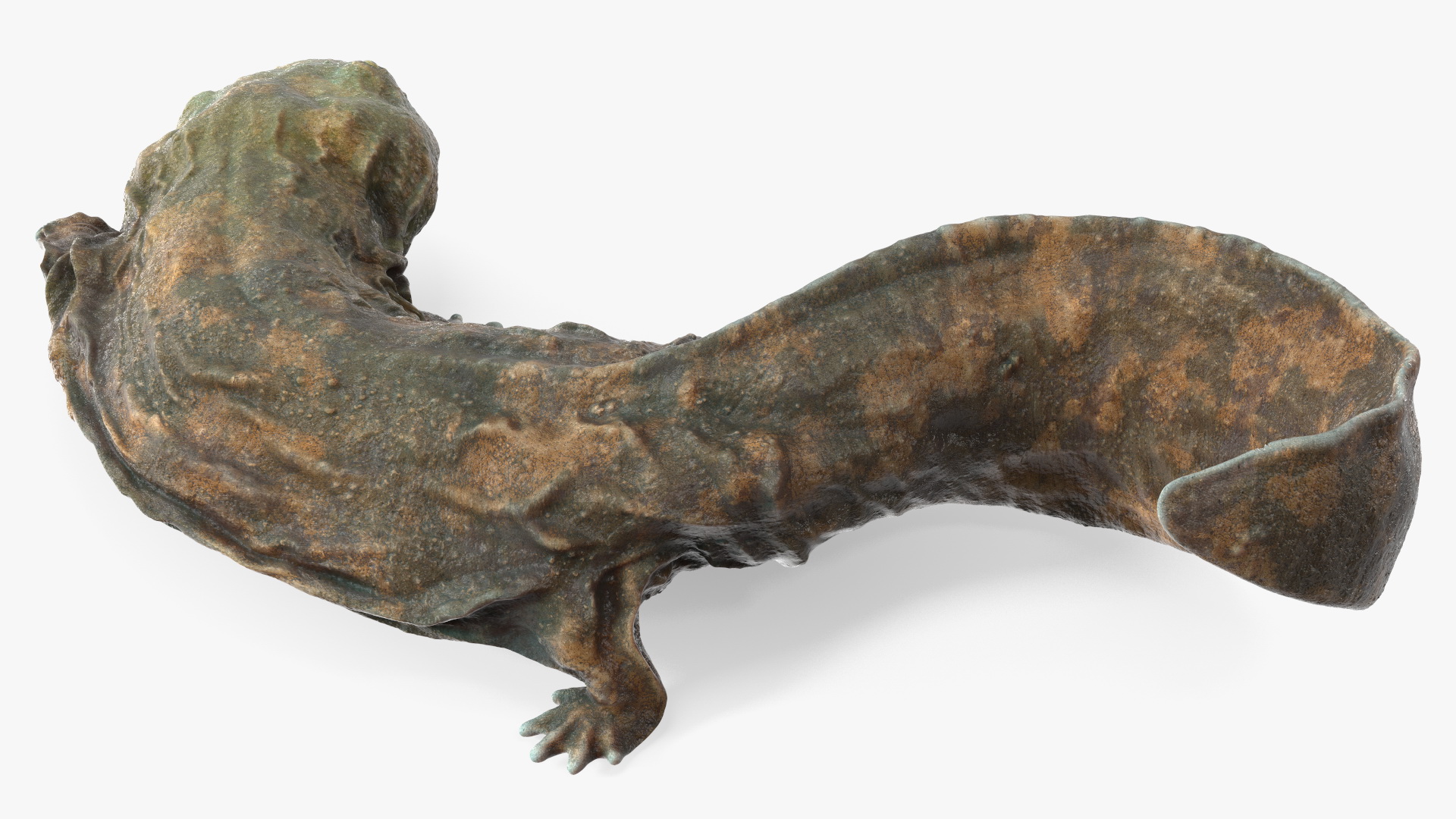 Andrias Davidianus Light Wet Lying 3D model